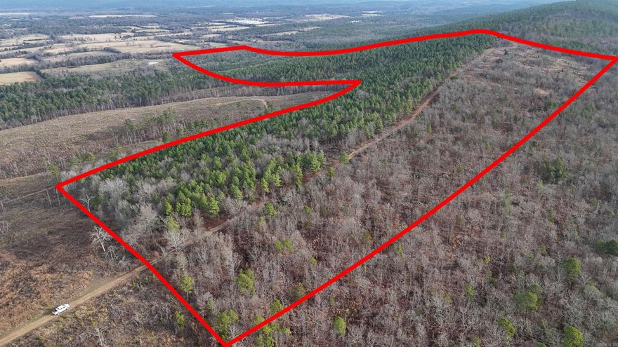 Rare opportunities like this do not come along often. This incredible 160 +/- acre parcel truly sits on top of the world, offering jaw-dropping 360-degree views that stretch as far as the eye can see. If you have been searching for a property with the feel of total freedom, unmatched privacy, and endless potential, this is it. What makes this property even more special is its direct access to National Forest right from the property itself. That is a game changer. With the land bordering National Forest and a dirt road providing direct access, you are not just buying 160 +/- acres, you are gaining a gateway to miles of additional acres to explore and enjoy. Ride, hike, hunt, or roam right out of your own property and straight into the National Forest. Opportunities like this are exceptionally rare, and for the outdoor enthusiast, it is hard to overstate just how valuable that kind of access really is. Whether you envision a premier hunting camp, private cabins, an off-grid retreat, or the ultimate homestead, this property is set up to deliver. Wildlife is plentiful, with deer, bear, and bobcats roaming this private piece of paradise, making it a dream setup!
