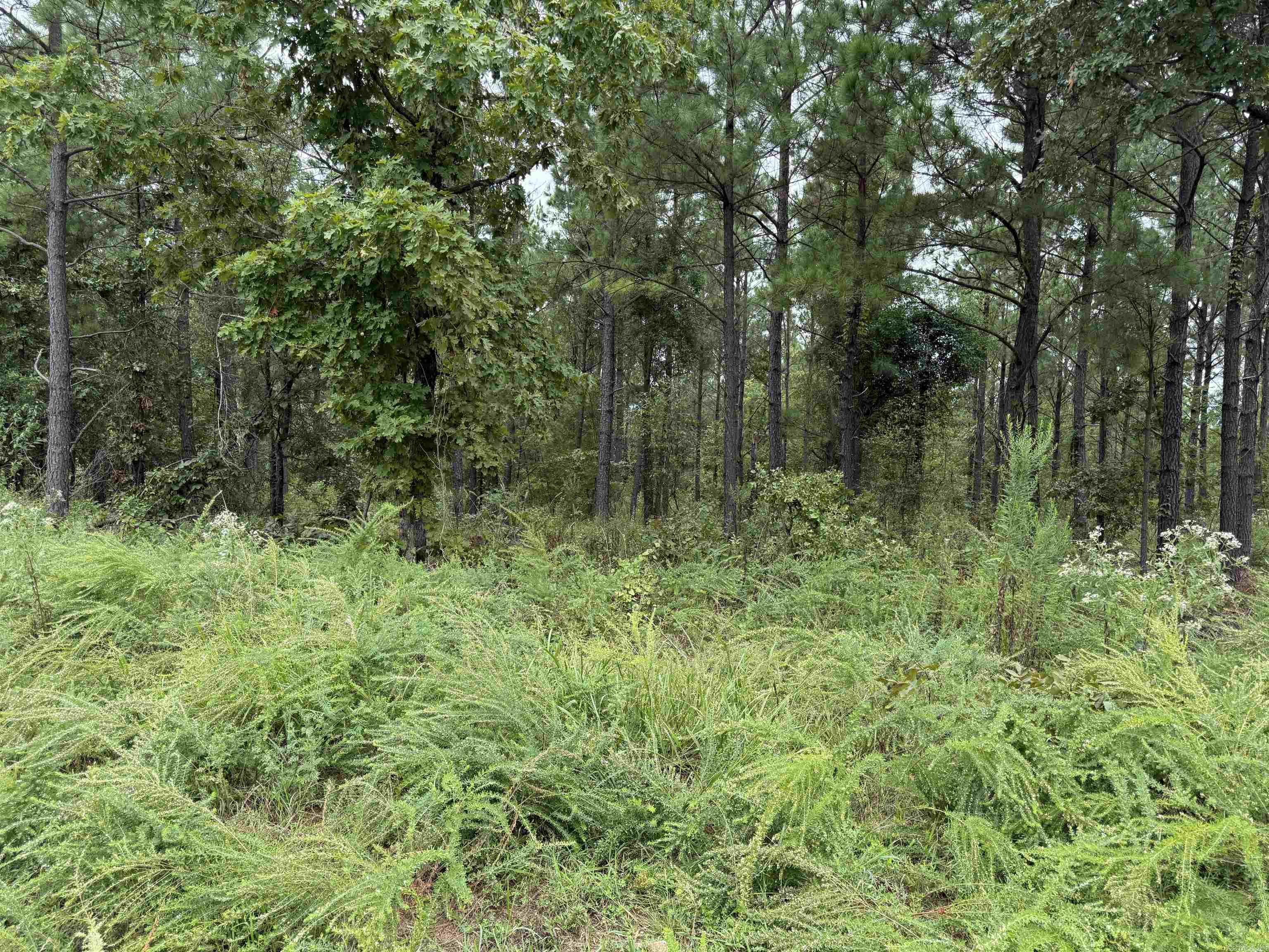 Metes & Bounds - Land