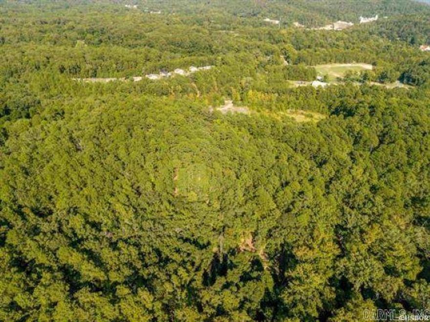 1.88 acres of serene land tucked away off Maple Terrace, close to Whittington Park and downtown Hot Springs! Great location !!