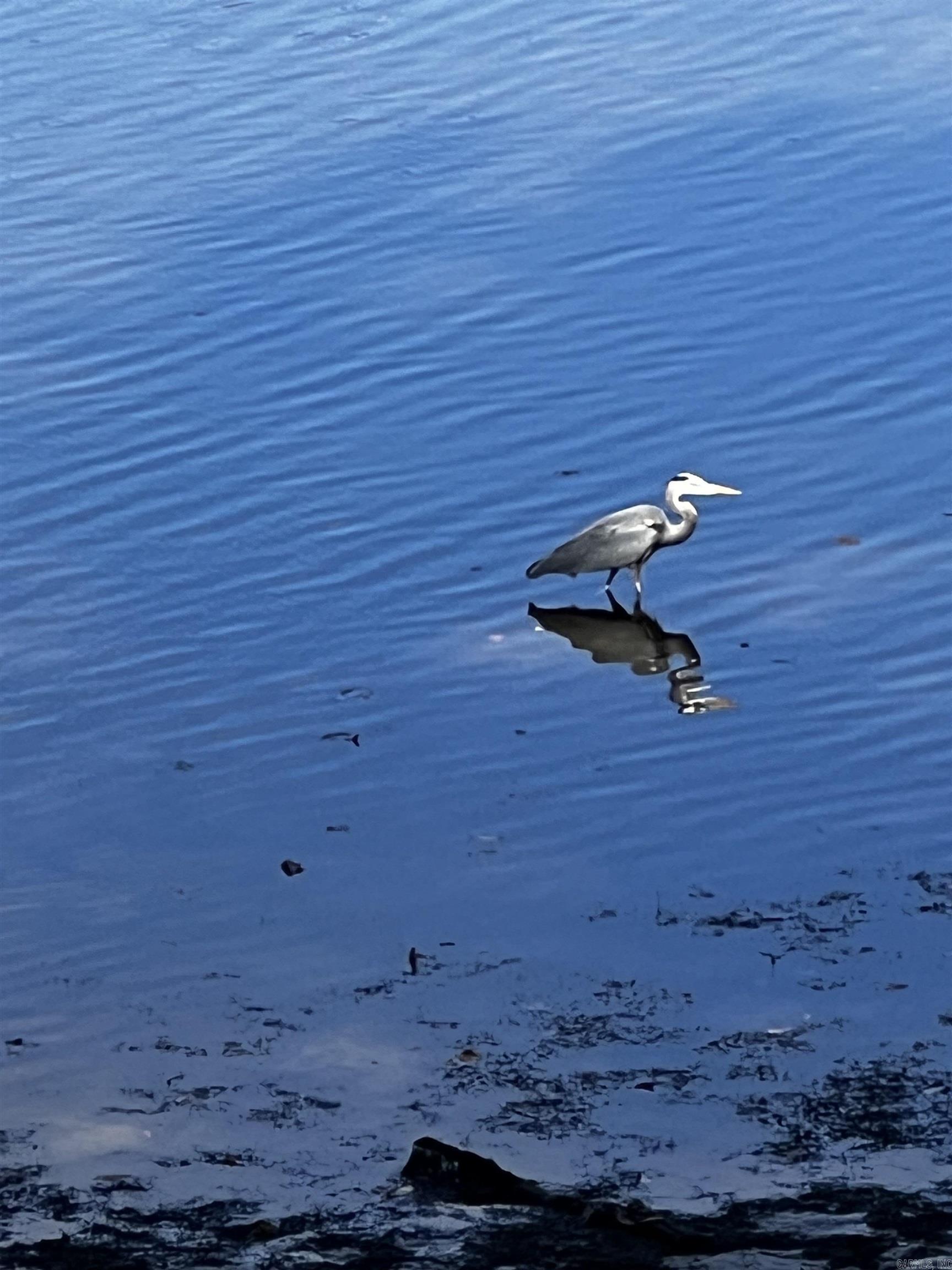 LAKE FOREST SHORES - Residential