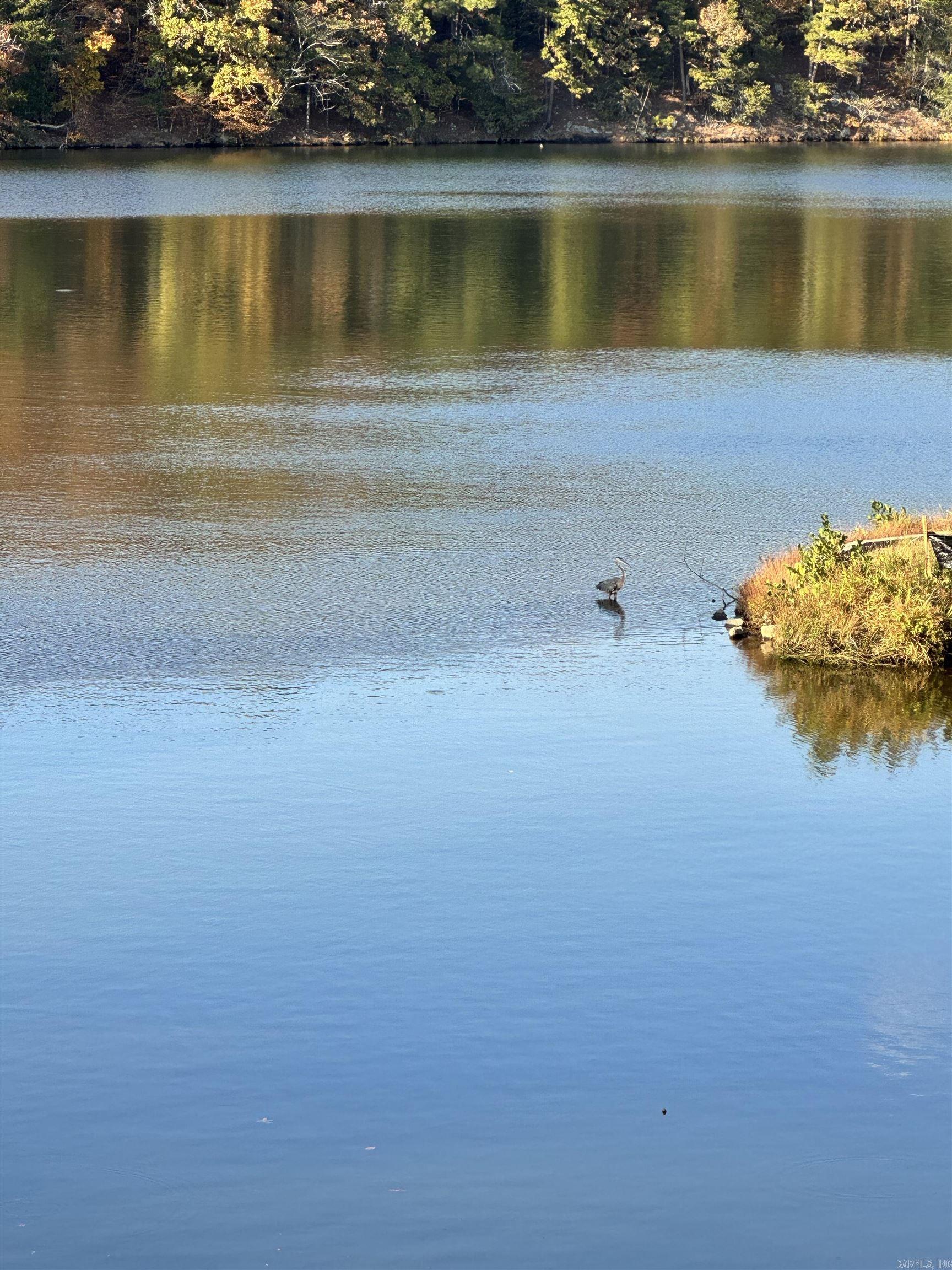 LAKE FOREST SHORES - Residential