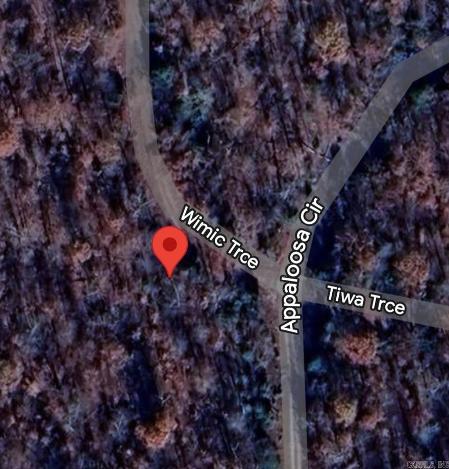 Build a new home on this .62 (+/-) acre lot in Cherokee Village. Its only minutes away from a Golf Course, several lakes and local amenities. No owner financing available. Mobile, manufactured or tiny homes are not allowed. Call or text for more information.