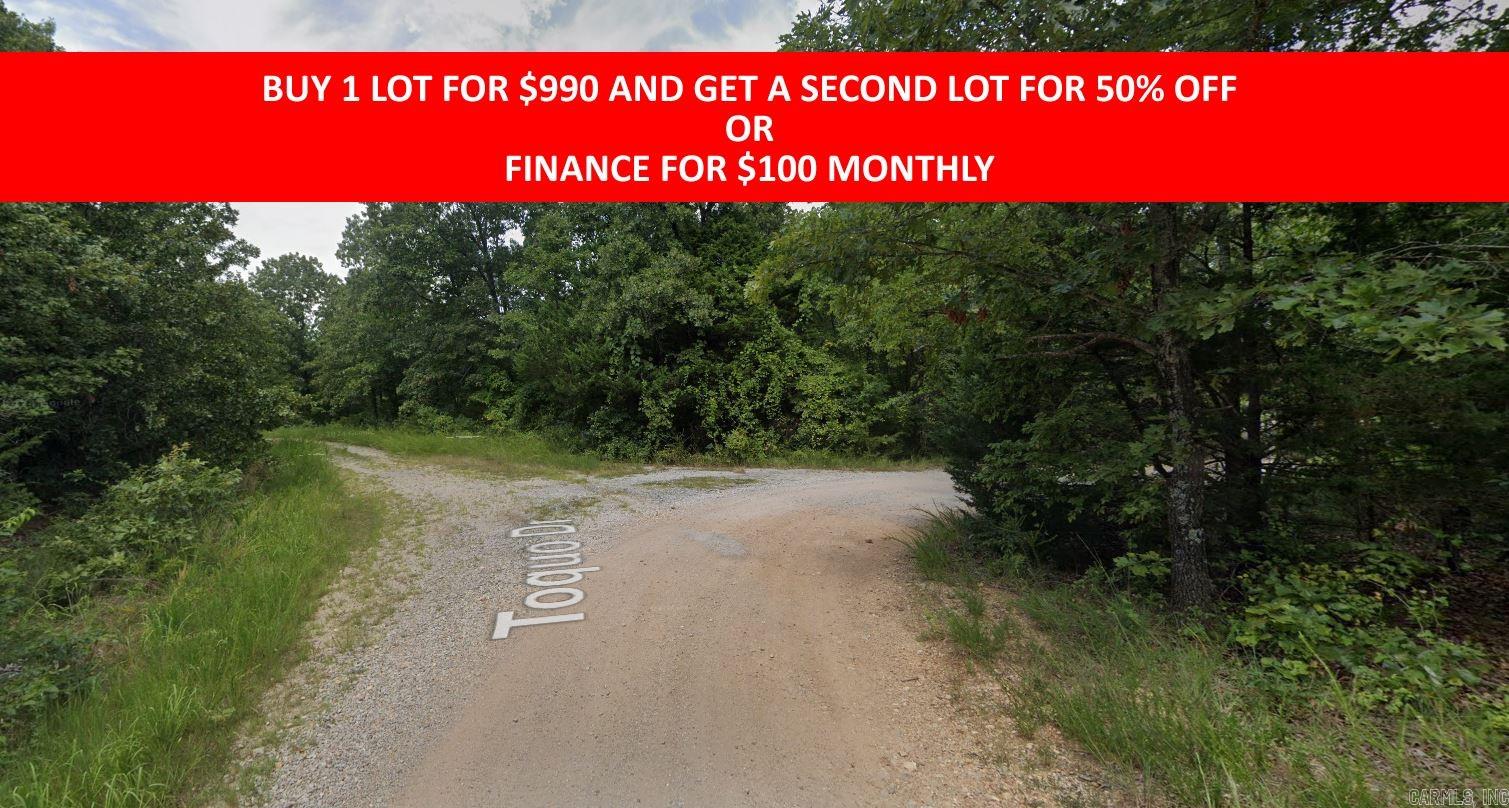 Buy one lot and get 50% off an additional lot! Owner-finance for easy terms. Cash buyers can pay by debit or credit card as well. Nice lot to develop or hold for future value. Public water and electric are available to run to property and will need septic. Owner/agent. No mobiles allowed. 600-2500 minimum build size on any other type of home, depending on subdivision. Finance is $100 down and 10 months at $99 and closing costs are included. Lots marked with red banner are part of promotion. No limit on lots. Buyer responsible for any/all taxes and lots sold "as-is". Quit claim deed conveys. Parcel ID# 200-13742-000