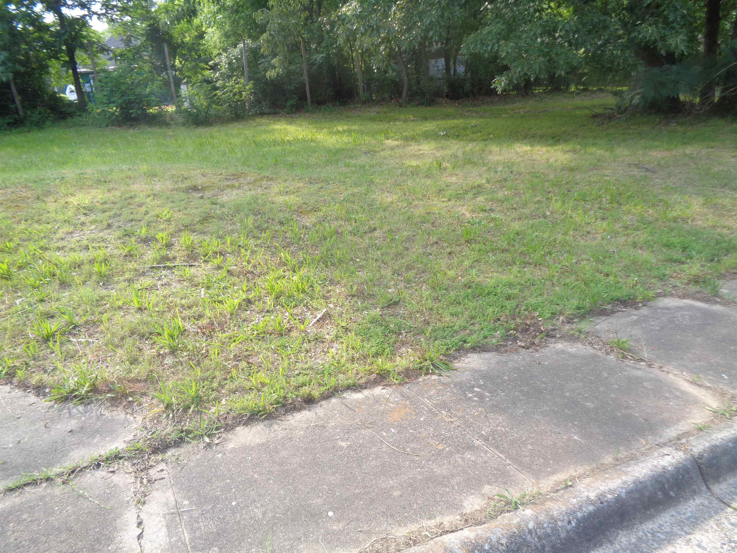 Large level corner lot available in a developing neighborhood. Property must be sold with lots located at 2936 Fulton and 3008 S. Izard St. Agents please check remarks