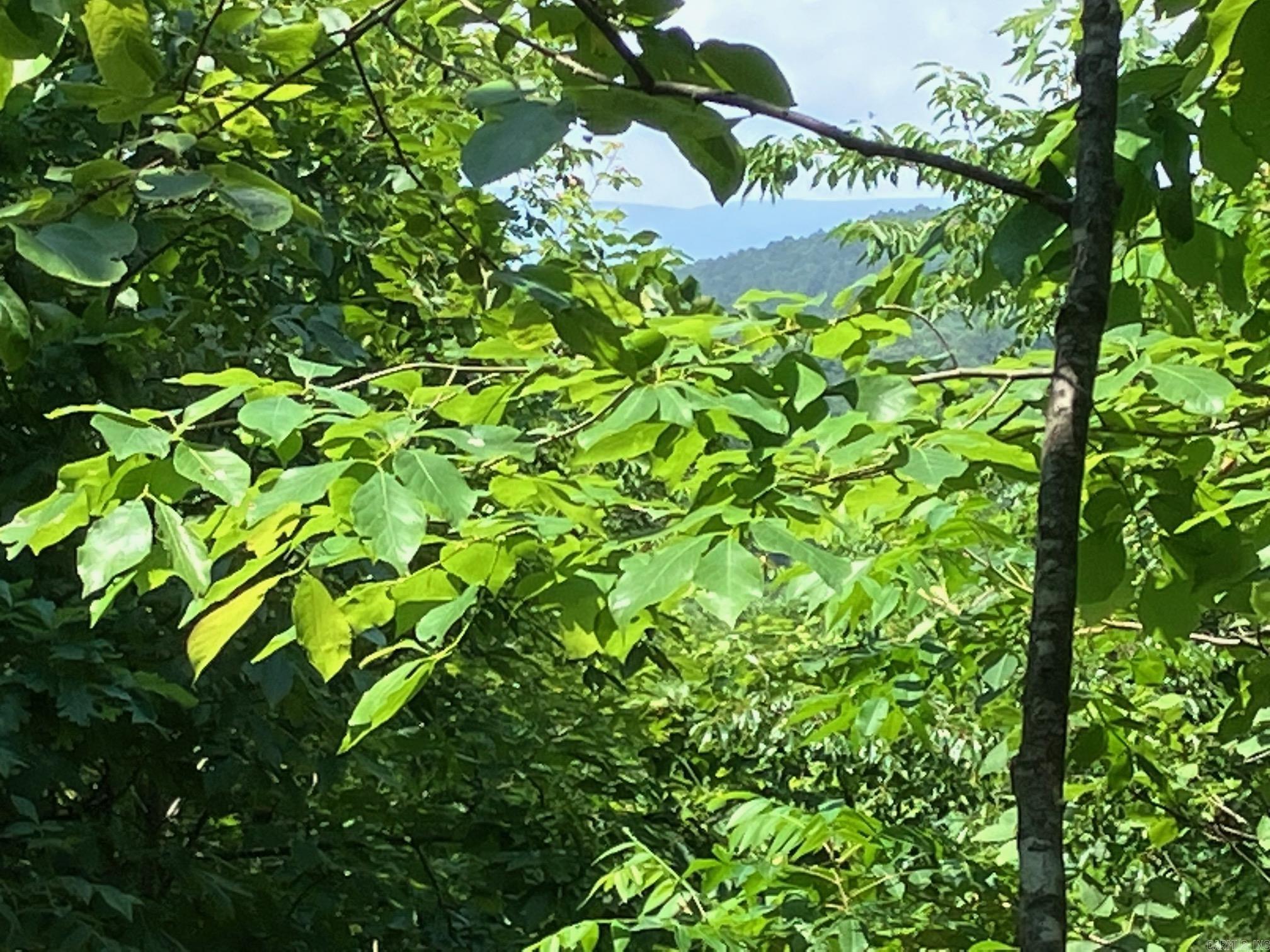 Tract 5- 3 acre Lot uses existing driveway (driveway easement thru tract 4). Partially cleared area where you can see what the view would be from a home/cabin. Many nice trees that could stay, others could be thinned to open up an amazing mountain view. Very close to the Ouachita Forest trails. Can ride an ATV all the way to Wolf Pen Gap Trail System. See map in pictures. To be surveyed out of larger parcel by close by the seller. This lot is in a location that is quiet and peaceful yet only 7.7 miles to Mena, AR. Septic system and well is needed. Each lot was carefully laid out to give each site areas of trees/draws between the sites making each feel like your own forested oasis. These lots are in a location that would make really amazing sites to build a weekend cabin or a full time residence and at a price that is hard to beat.