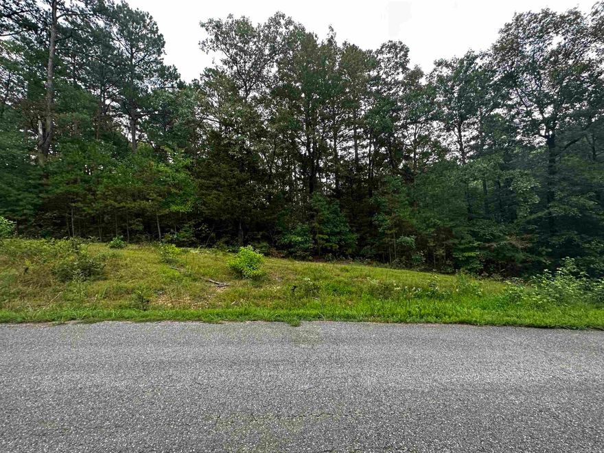 Great lot for building. Nice location. Utilities are underground. Mineral rights do not convey.