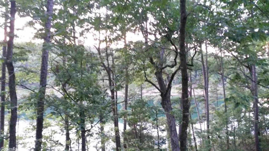 Wooded and beautiful....  This lake front lot is sloped with a view and has waterfront access.  Great for full time living or for a weekend.  Rare opportunity at great price!