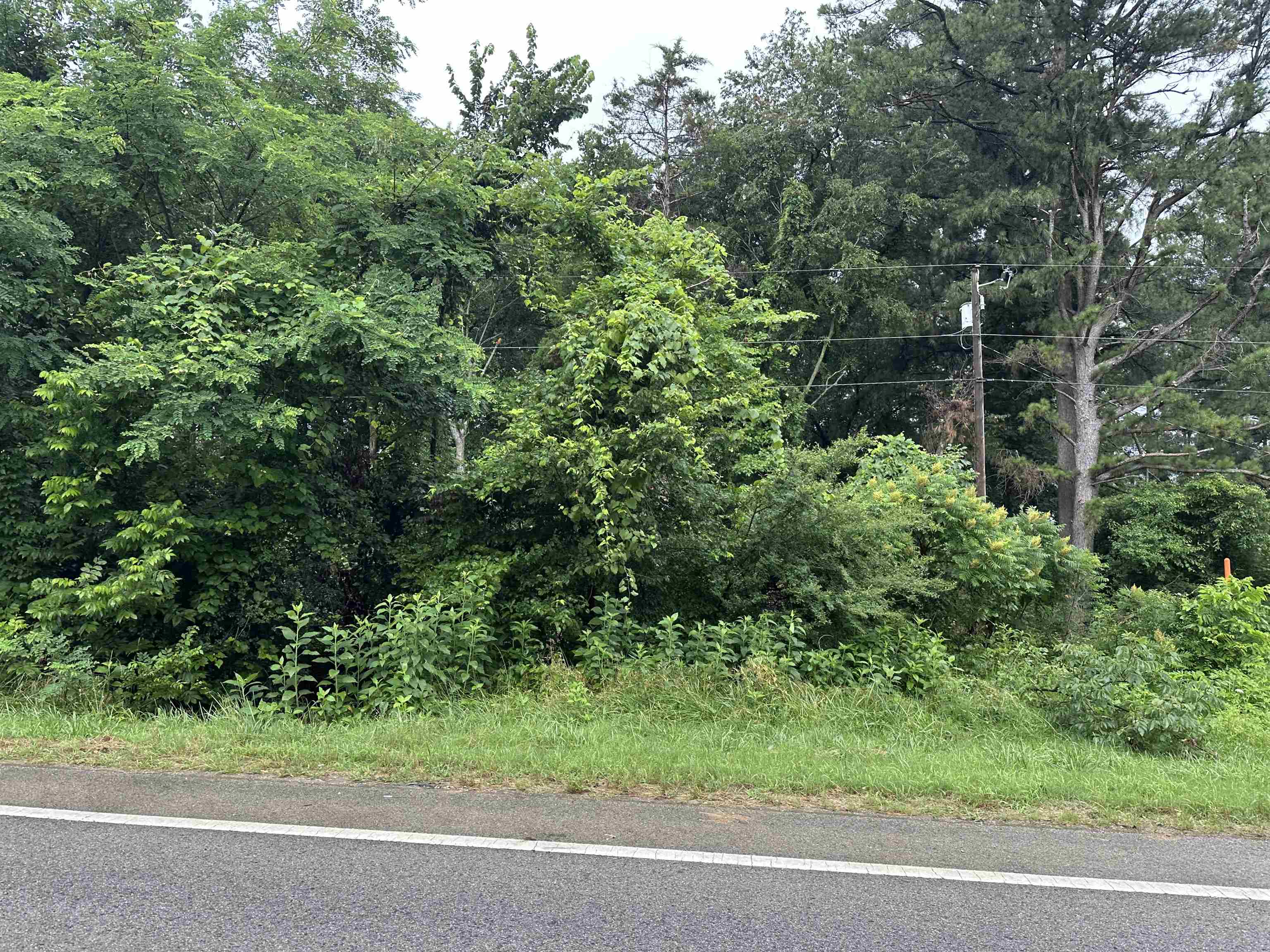 Harrisburg Acreage - Land