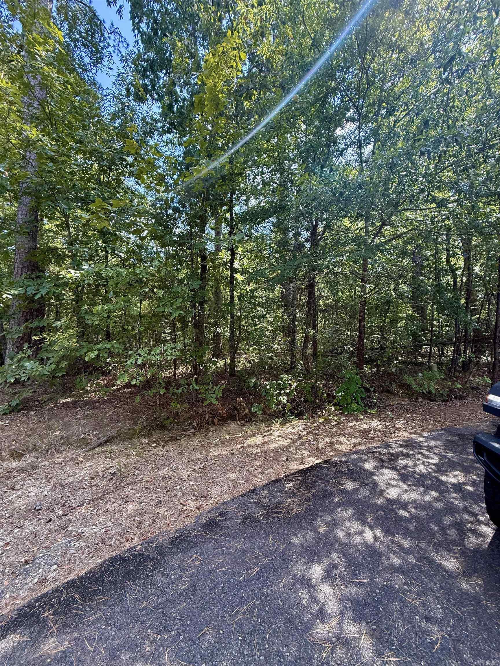 Enjoy the privacy of the end of a culdesac! This flat lot is prefect for building your home. This lot sits inside Hot Springs Village which is America's largest gated community, and is a golfers paradise featuring 9 golf courses.