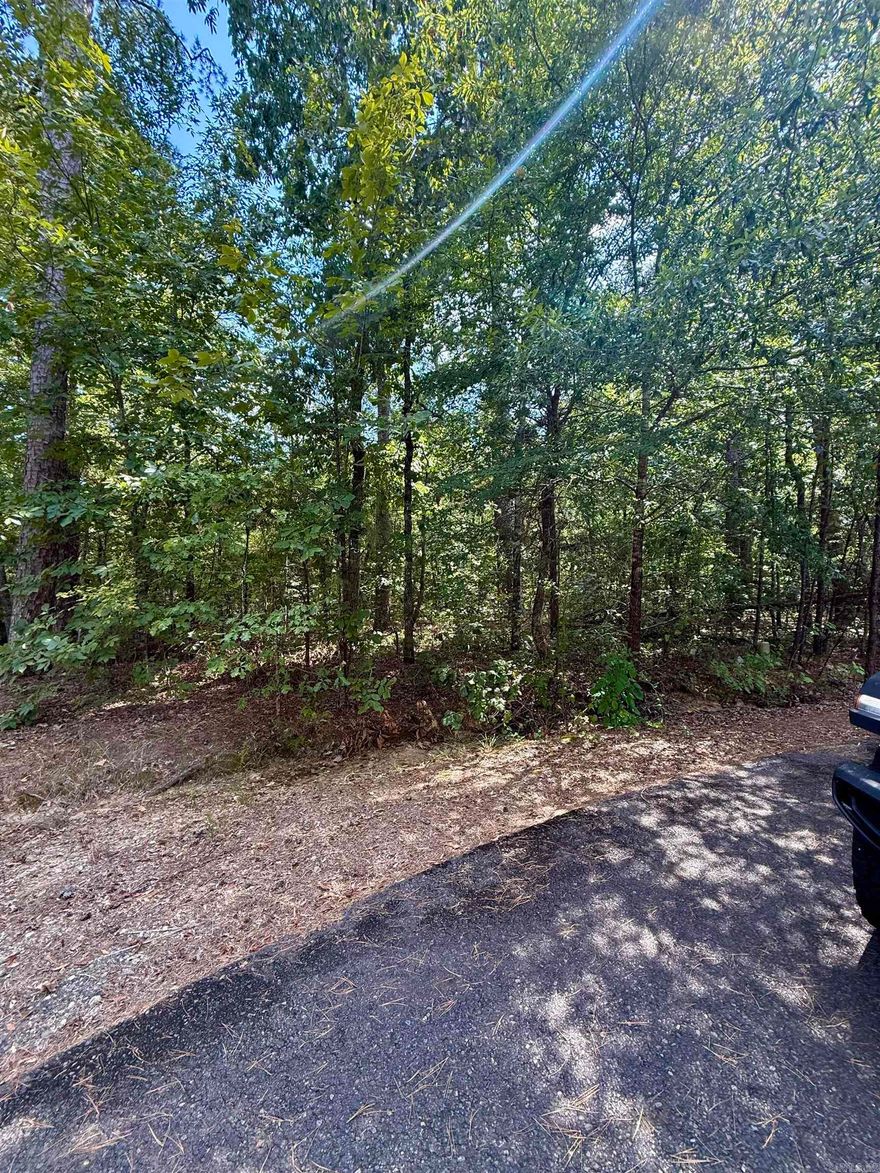 Enjoy the privacy of the end of a culdesac! This flat lot is prefect for building your home. This lot sits inside Hot Springs Village which is America's largest gated community, and is a golfers paradise featuring 9 golf courses.