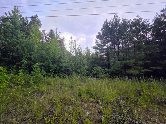 4003 HIGHWAY 54, PINE BLUFF, AR 71603 - Image ea488a655df71ae133f0a4e97bd89190/1986645231