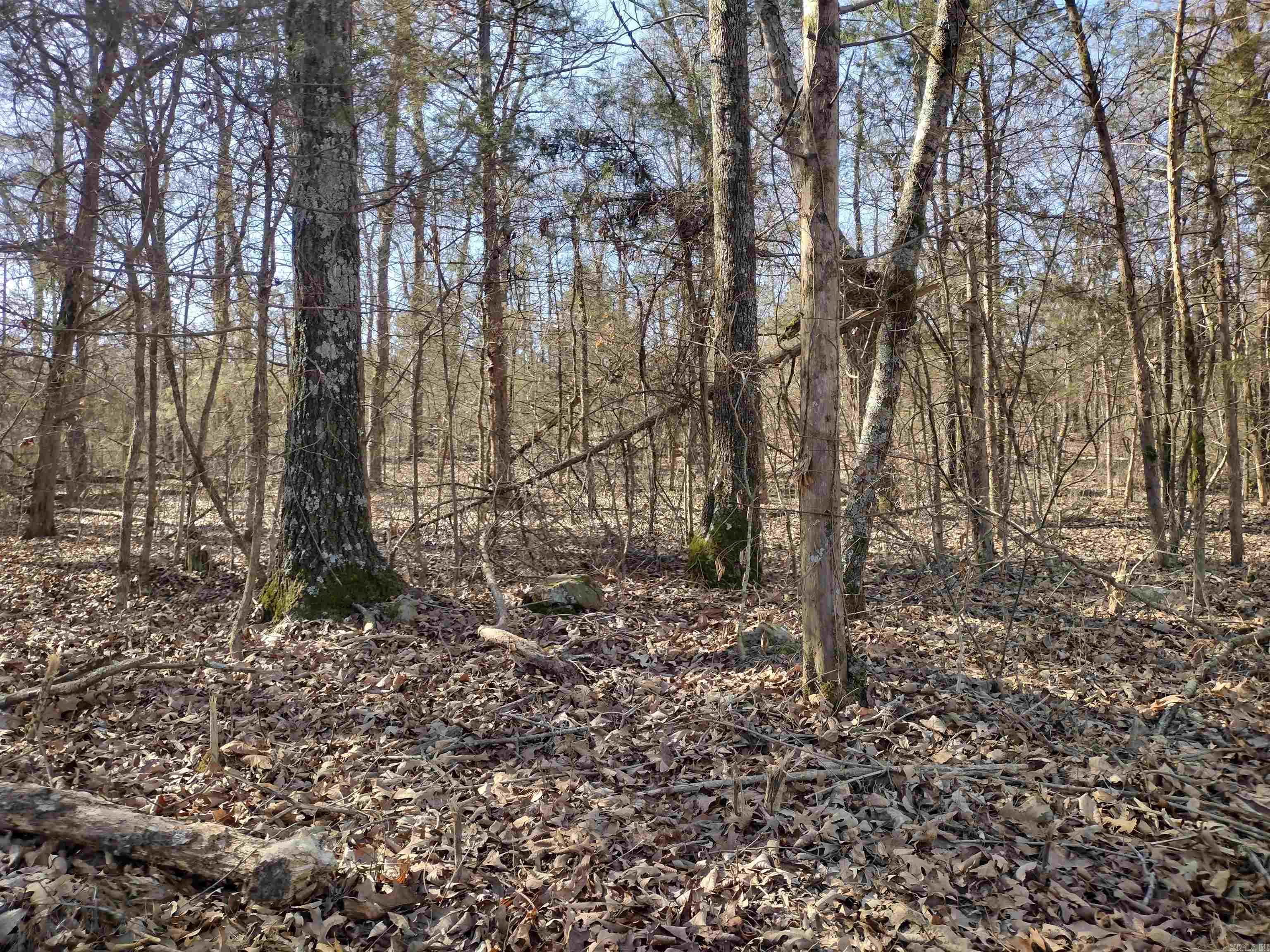 Metes & Bounds - Land