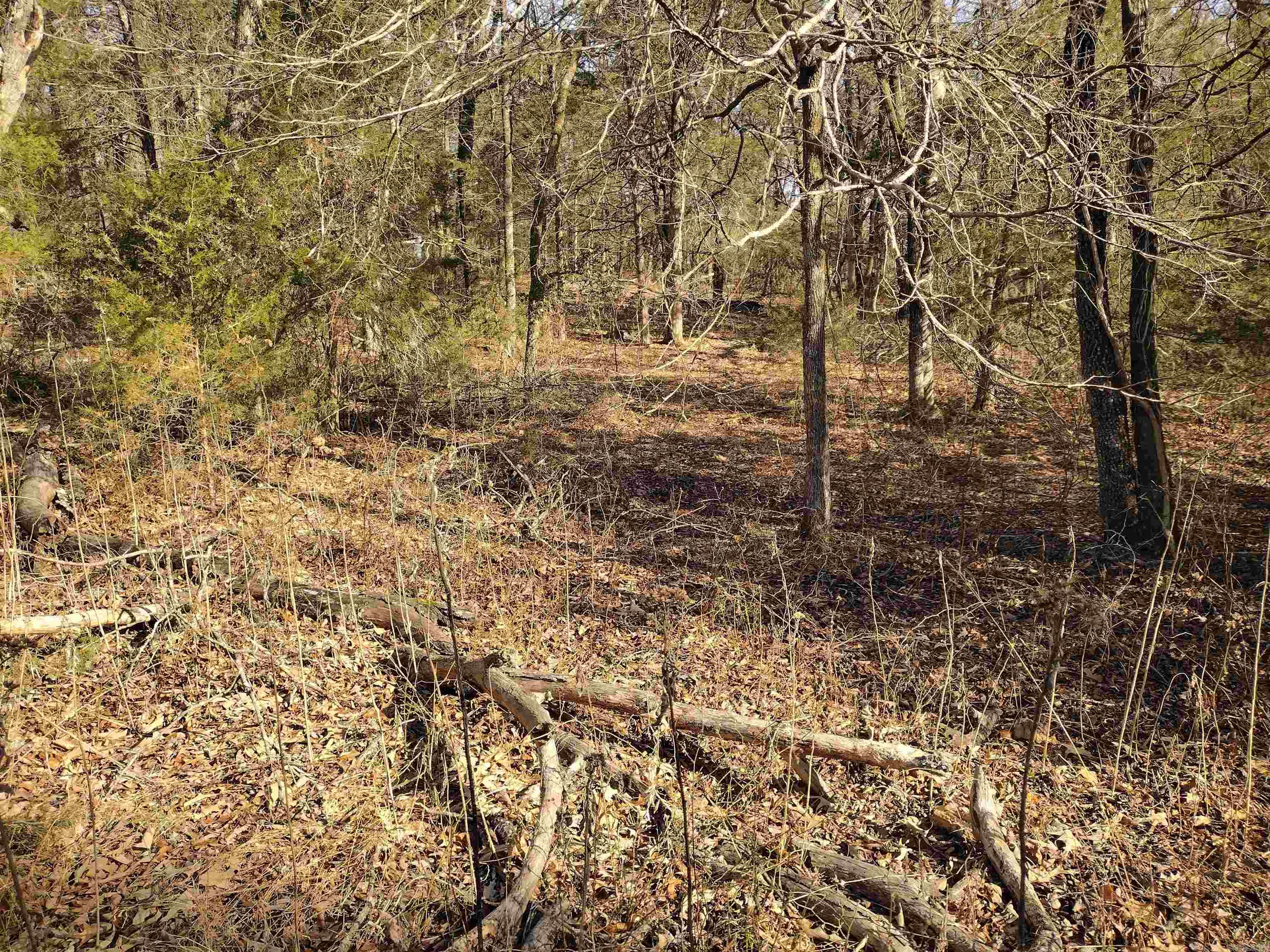 Metes & Bounds - Land