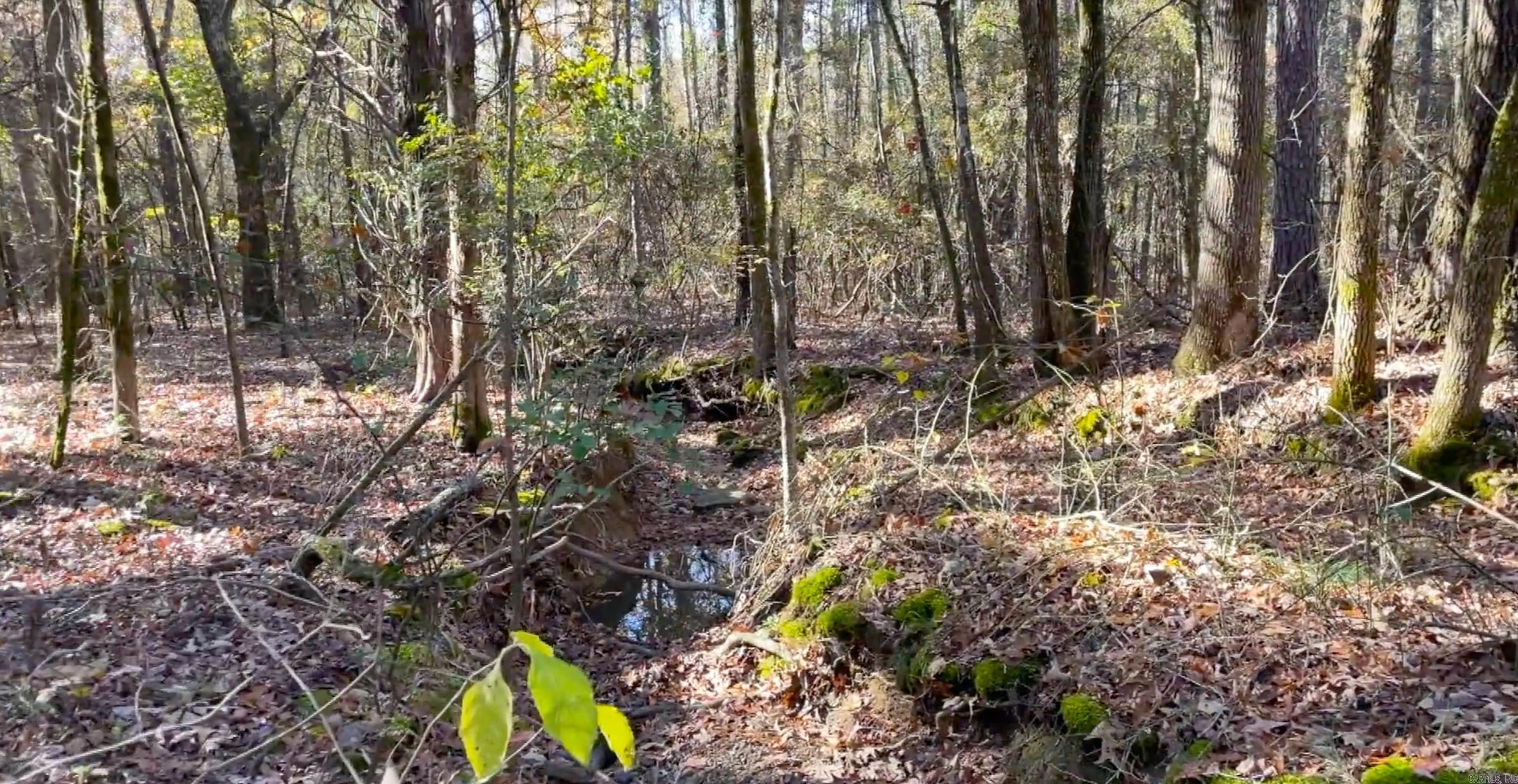 SHILOH LANDING - Land