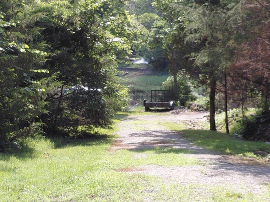 VAGABOND RD, WILLIFORD, AR 72482 - Image ea5bb3bd8df6c242e7b76510f55571fe/1987967601