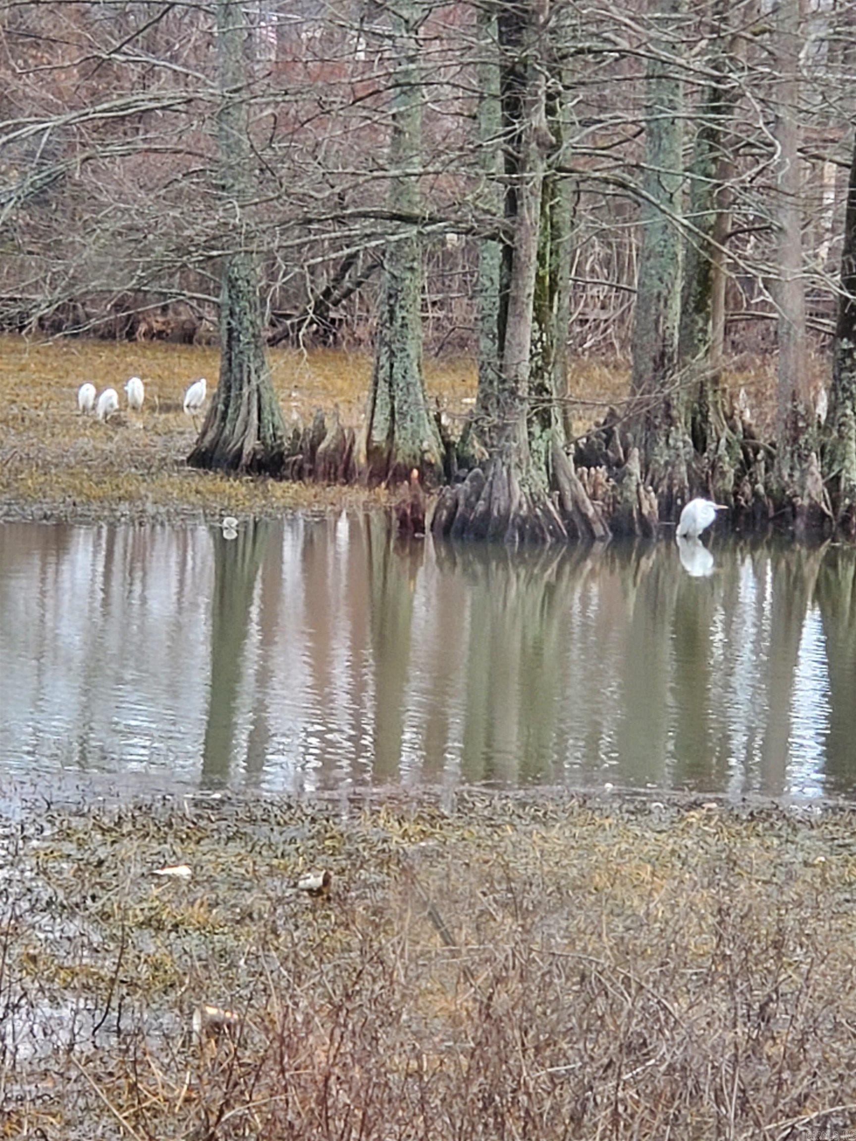 INDIANHEAD LAKES EST - Residential