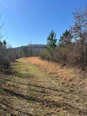 JOHN ASHLEY RD, MURFREESBORO, AR 71958 - Image ea6302e07f2497c7aaa1de5fb19a2630/3808514424