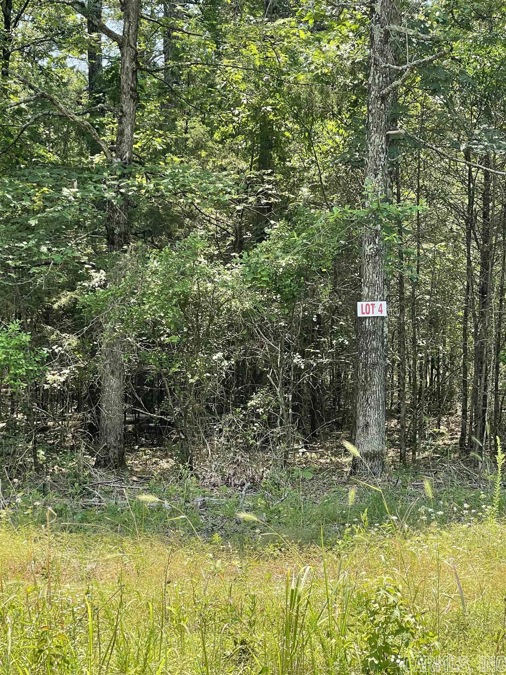 Nice flat lot. Mobiles ALLOWED!! There is a utility easement on the back side of property so no one can build on it. Cut the right trees for lots of privacy. Convenient to shopping in the town of Greers Ferry. This is a superb location for a vacation/weekend getaway or a permanent home. Lake access on Twin Coves just around the corner!!