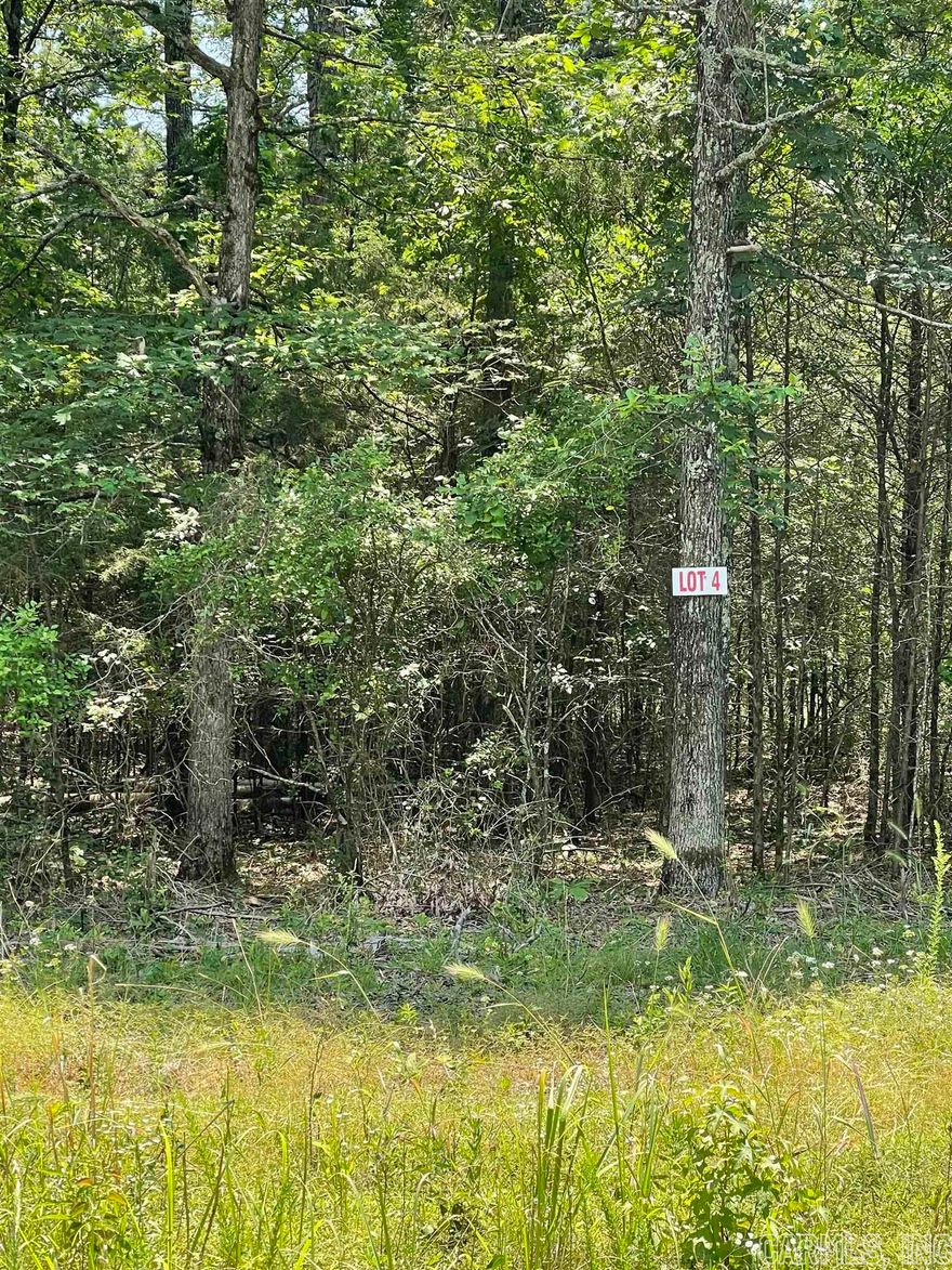 Nice flat lot. Mobiles ALLOWED!! There is a utility easement on the back side of property so no one can build on it. Cut the right trees for lots of privacy. Convenient to shopping in the town of Greers Ferry. This is a superb location for a vacation/weekend getaway or a permanent home. Lake access on Twin Coves just around the corner!!