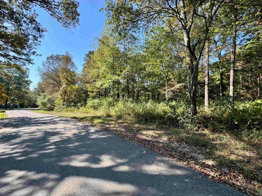 The perfect spot to build your dream home in the desirable Ashley Woods Subdivision. This wooded residential lot offers privacy and a peaceful setting while being conveniently located close to all the amenities Melbourne has to offer. Enjoy the ease of paved road access with city water & electric available!