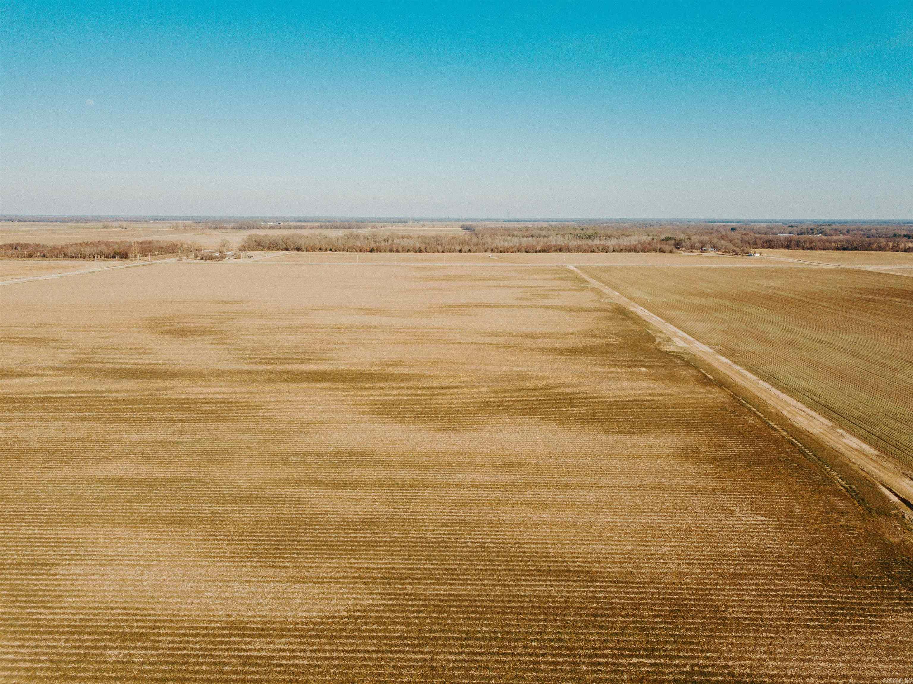 The Almyra 320 is an excellent row crop property. Out of the 320+/-acres, 273.2 are tillable and in production in the current farming operation. This farm has three wells, two diesel, and one electric. There is also a 29 acre holding reservoir for water! Road access and proximity to town make this farm very easy to access. This farm is also located in a great location for waterfowl hunting. There is a great farmer in place currently and is on an annual lease. If you are in the market for a turnkey, income producing farm, this is it! Farm Map: https://id.land/ranching/maps/9cf80bd0c9e5856821a6834793b0ee7a/share