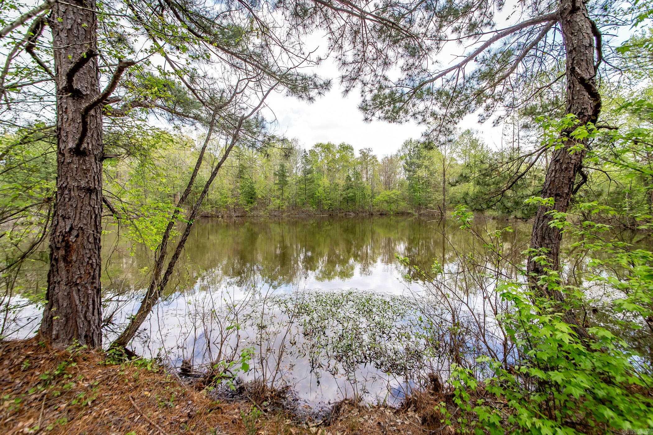 Looking for a private piece of land where you can be far enough away from everything but still close to all the amenities you could ever want or need? This is it! 21.45 acres off Owensville Cutoff down Highway 5 between Fountain Lake and Benton. Just thirty minutes away from all the fun of Hot Springs and even less to head to Benton. This is truly the perfect place to build your forever home or even a family compound. And to top it off, there is a large pond! Come check this one out today.