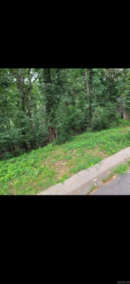 1508 HILLSBOROUGH LN, LITTLE ROCK, AR 72212 - Image eaa8028ff5ea8b9a5c4b93202b24b208/3290494417