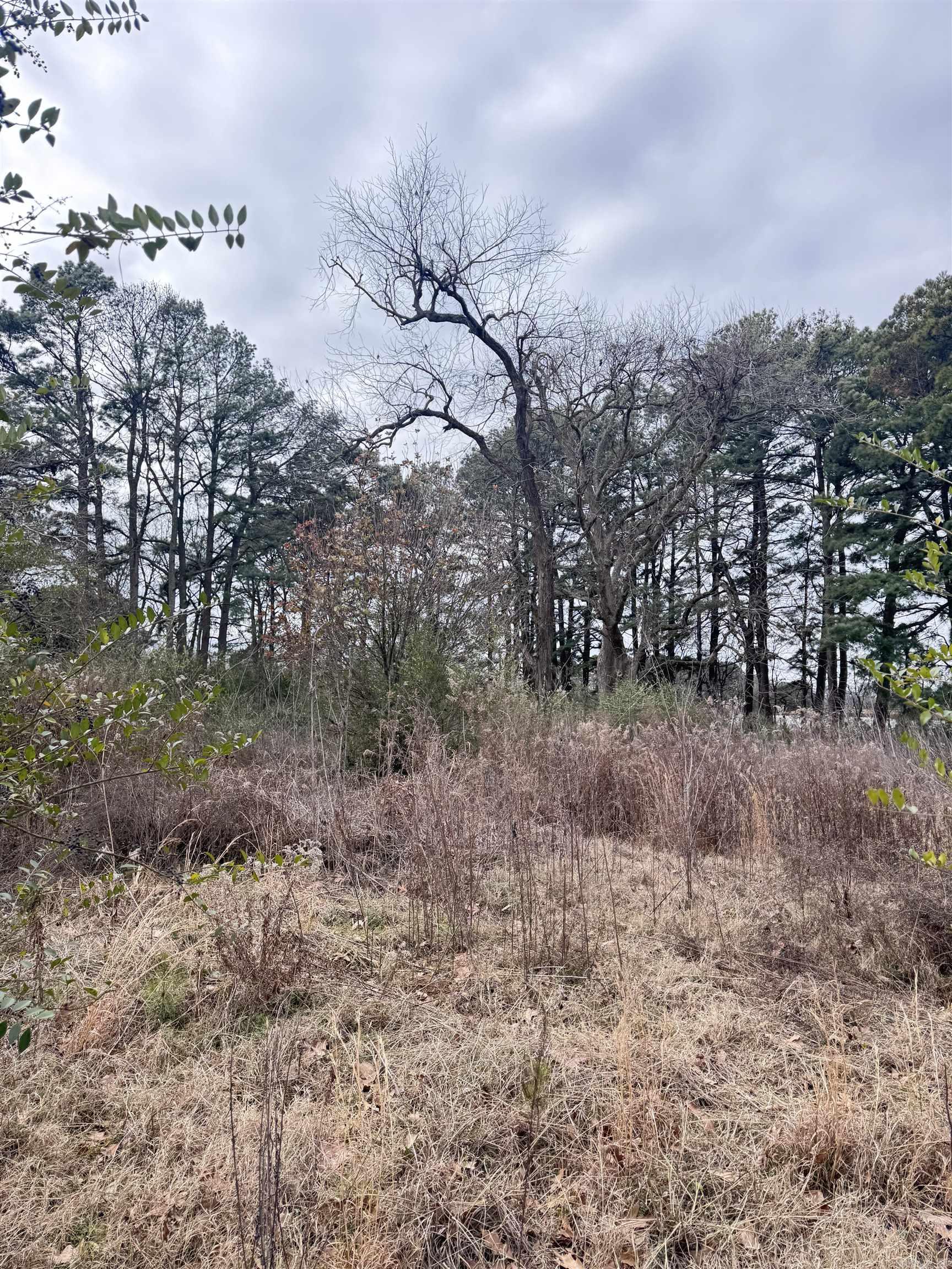 Lonoke - Residential