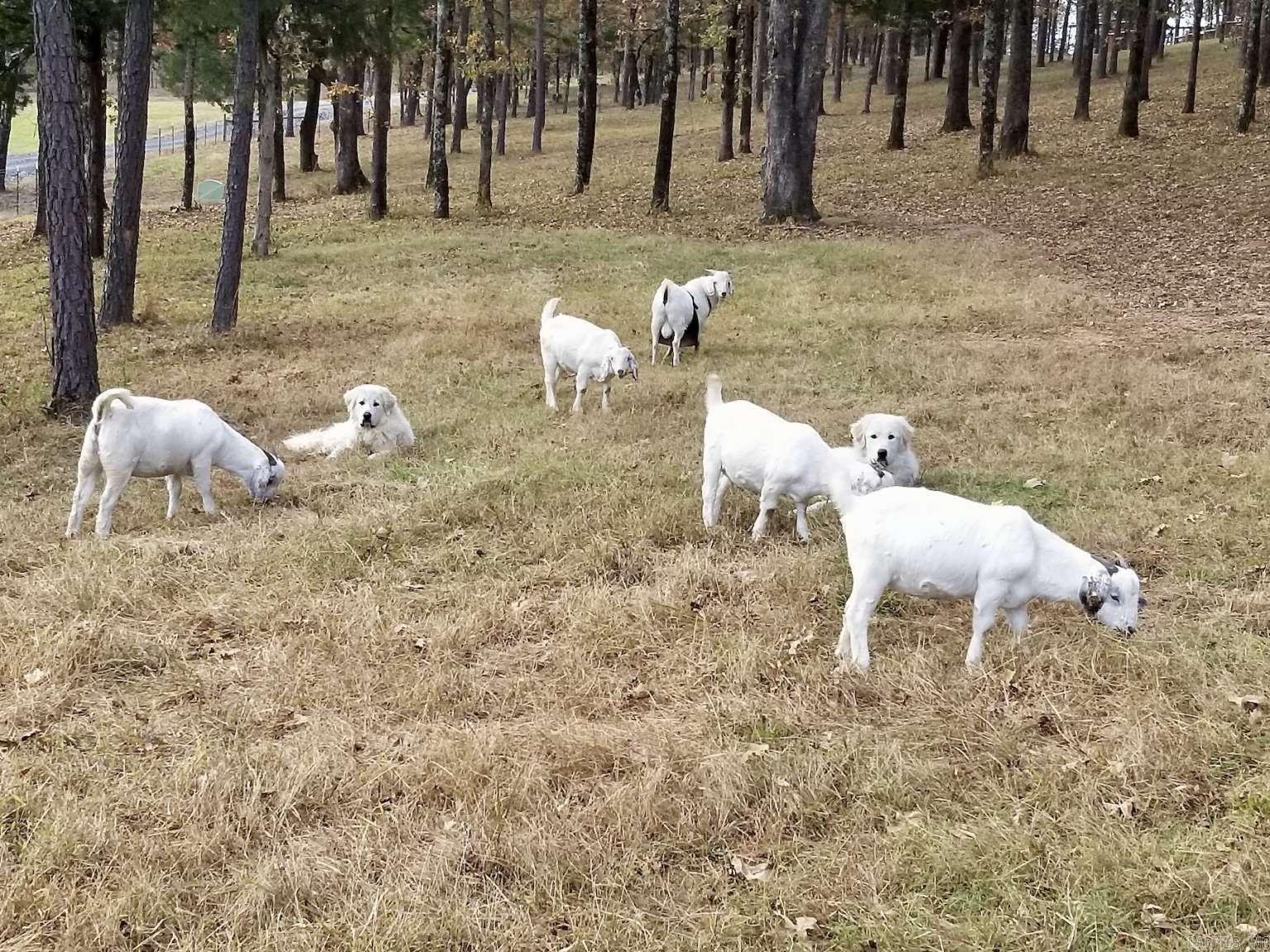 GOSHEN COML PARK - Residential