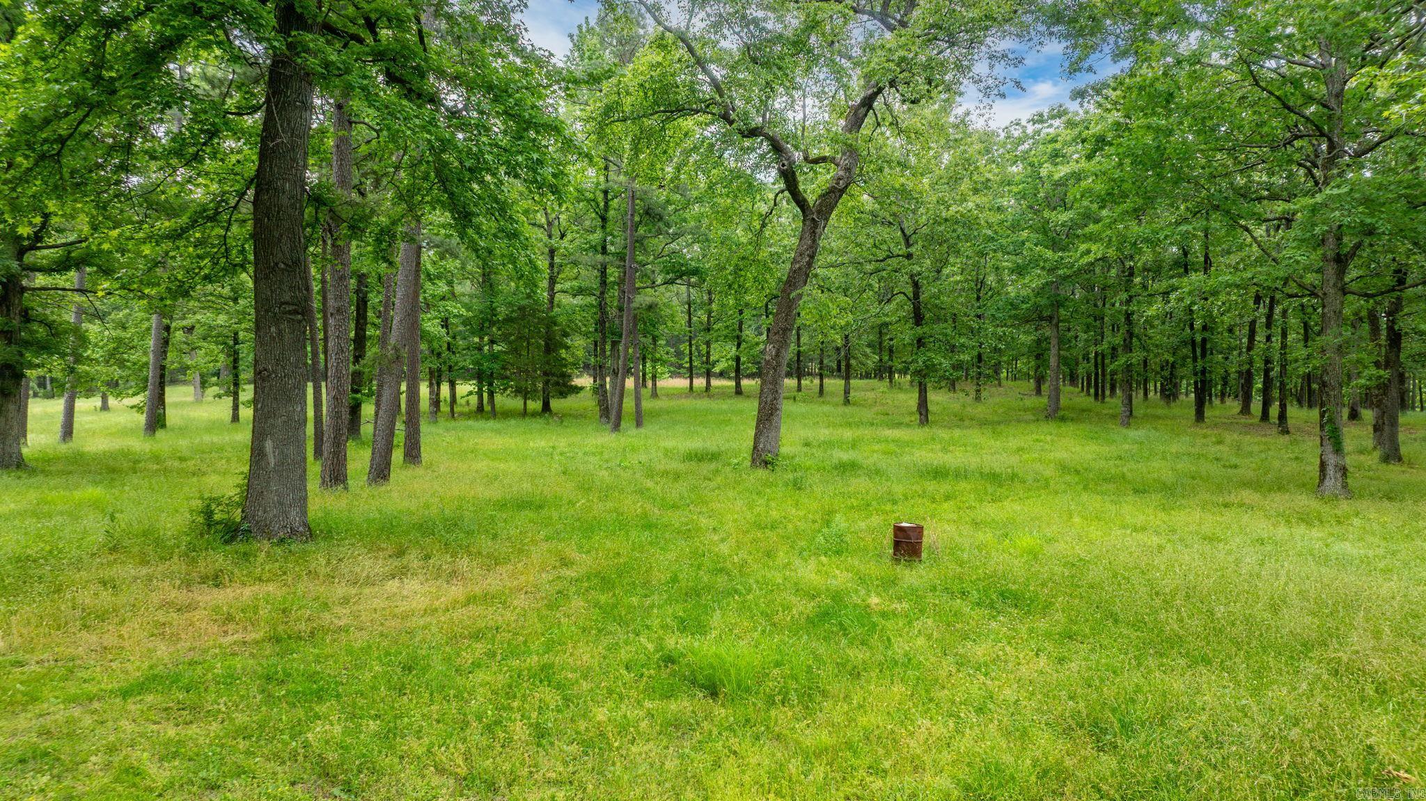 CITY OF BIGELOW - Residential