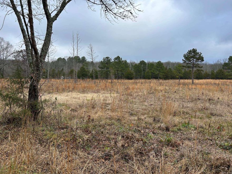 Beautiful homesite ready for your dream build! This mostly flat parcel offers an ideal blend of open space and scattered mature trees, providing flexibility for building while still maintaining a natural, peaceful setting. A perc test, survey, and proposed septic layout are already available, helping streamline the building process. With ample room for a custom home, shop, or outdoor living space, this property offers a great opportunity to create your own private retreat while still enjoying the convenience of nearby amenities.
