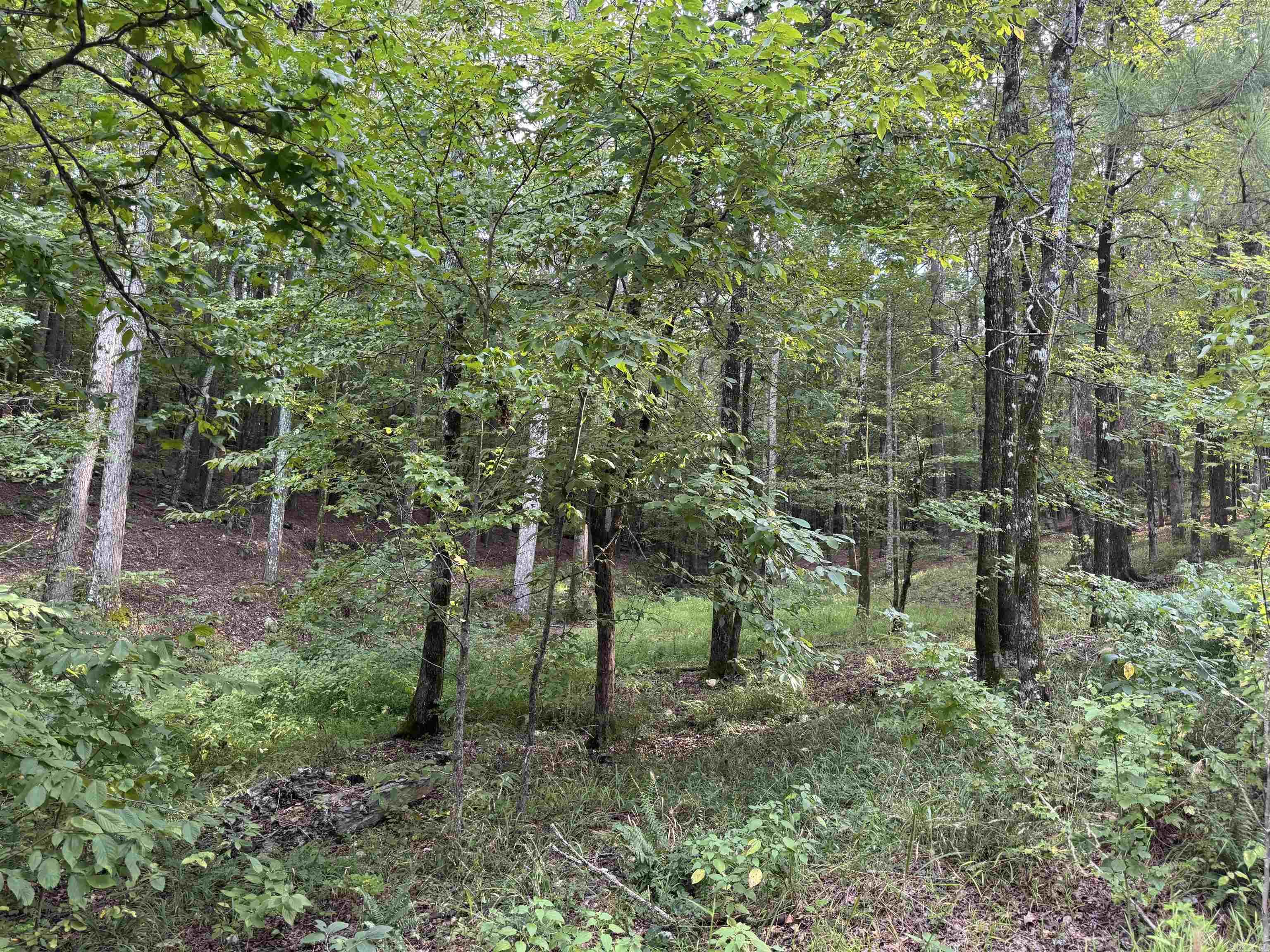 Beautiful .35 acre lot common to Lake Granada with great lake views on a quiet cul-de-sac. Granada Golf Course across the street. This site is ideal for building your dream home or vacation retreat. Utilities are present. Enjoy sunsets over the lake along with all the amenities Hot Springs Village offers, including nine lakes, golf, and miles of trails.