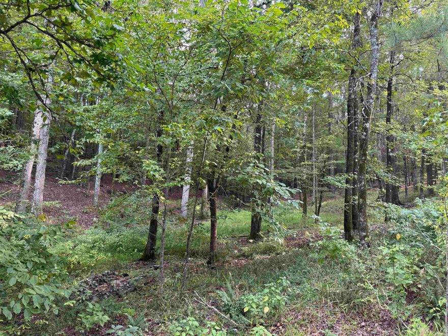 Beautiful .35 acre lot common to Lake Granada with great lake views on a quiet cul-de-sac. Granada Golf Course across the street. This site is ideal for building your dream home or vacation retreat. Utilities are present. Enjoy sunsets over the lake along with all the amenities Hot Springs Village offers, including nine lakes, golf, and miles of trails.