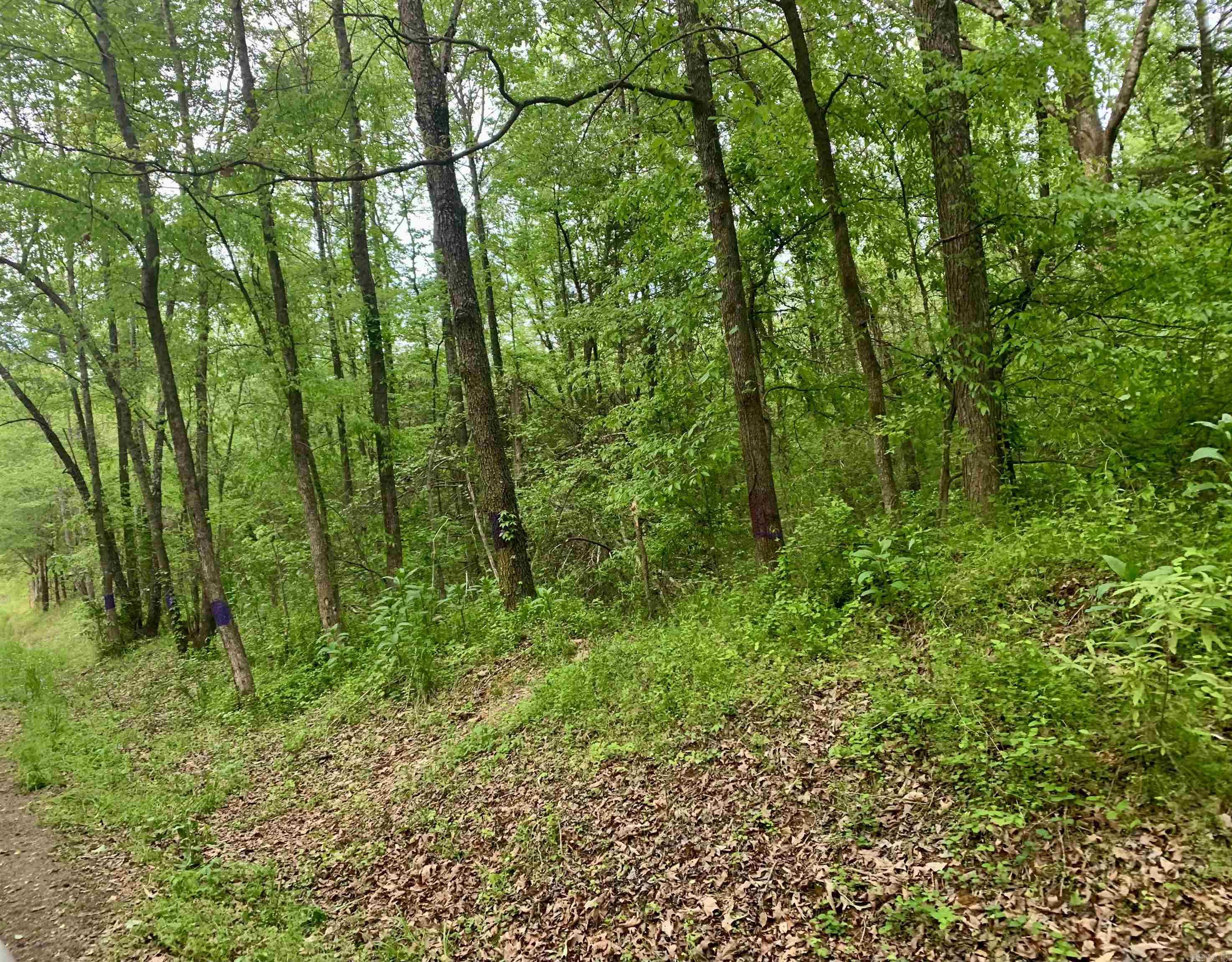 Metes & Bounds - Land