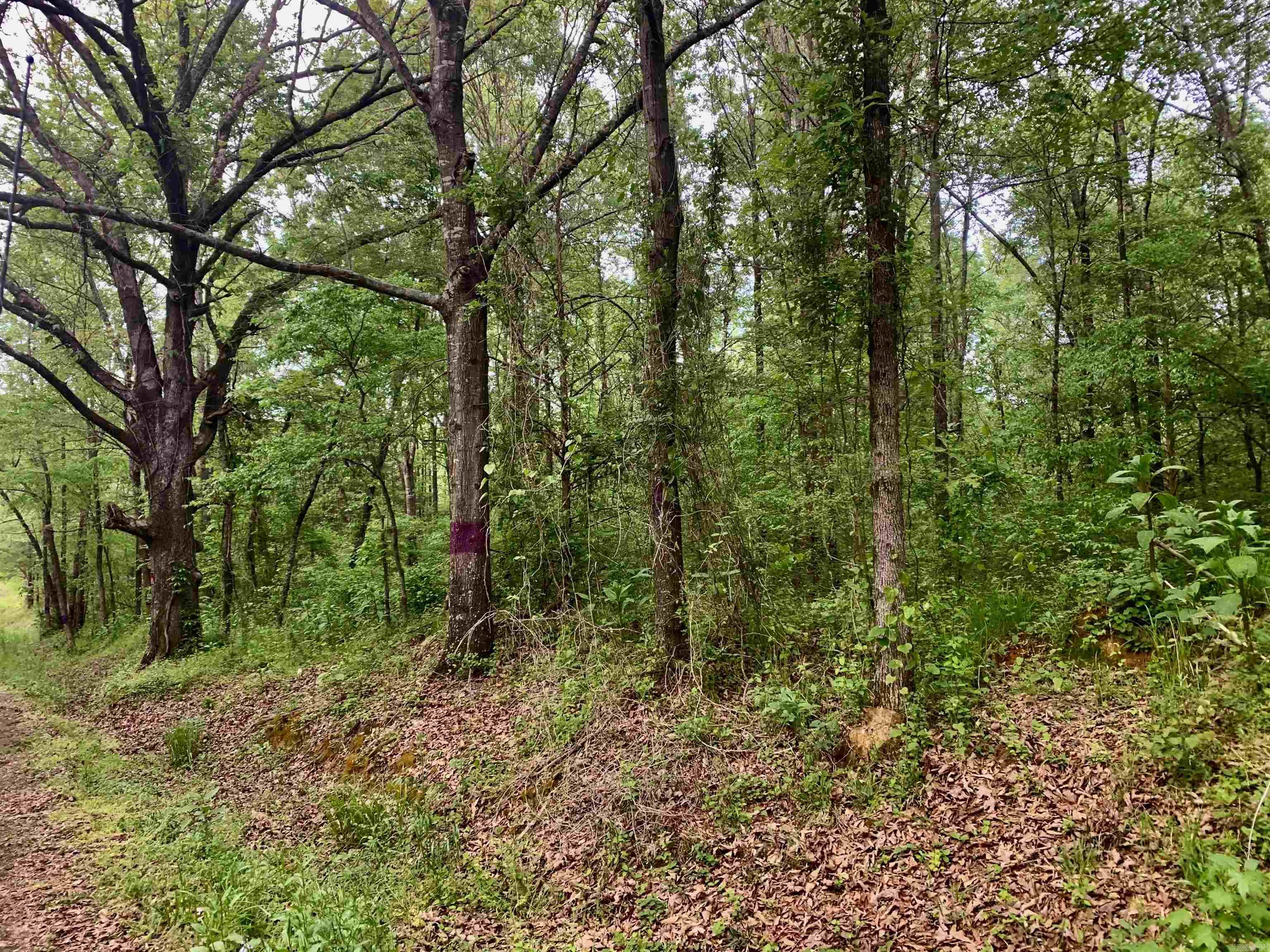 Come build your dream home, at this great location in the country but close to local amenities. Wild game on/around property.