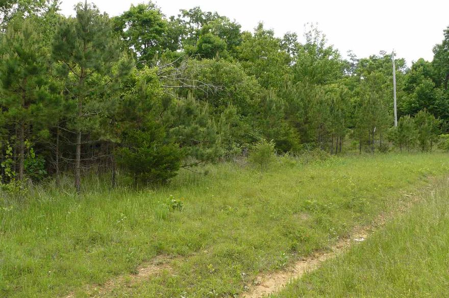 No. 01545 BUILDING LOT FOR SALE NEAR MOUNTAIN VIEW ARKANSAS This mostly wooded 3.85 acre lot is a great spot to build your dream or vacation home. Power, water, and phone available.  Local amenities include the Ozark National Forest, Greers Ferry Lake, The Famous White River and the Ozark Folk Center.  $12,500.00