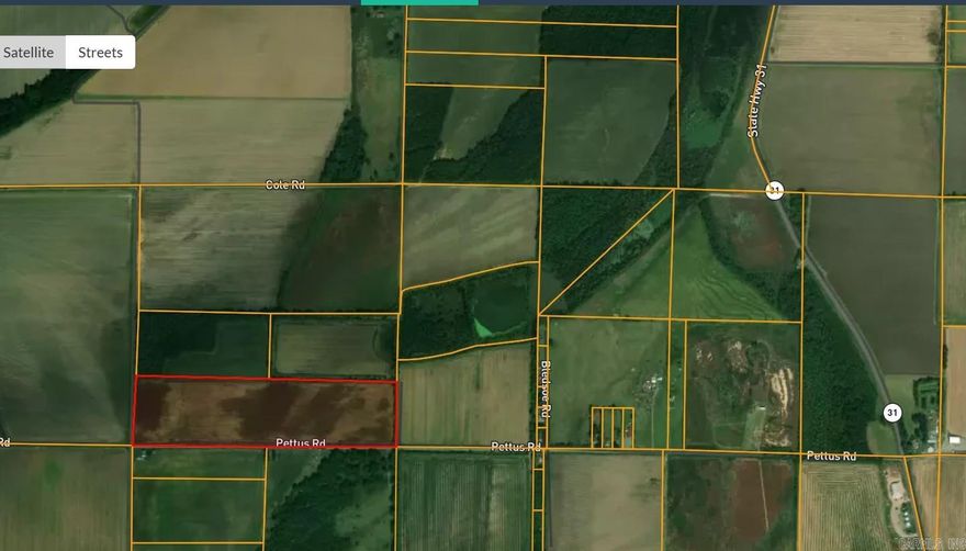 41 acres south of Lonoke