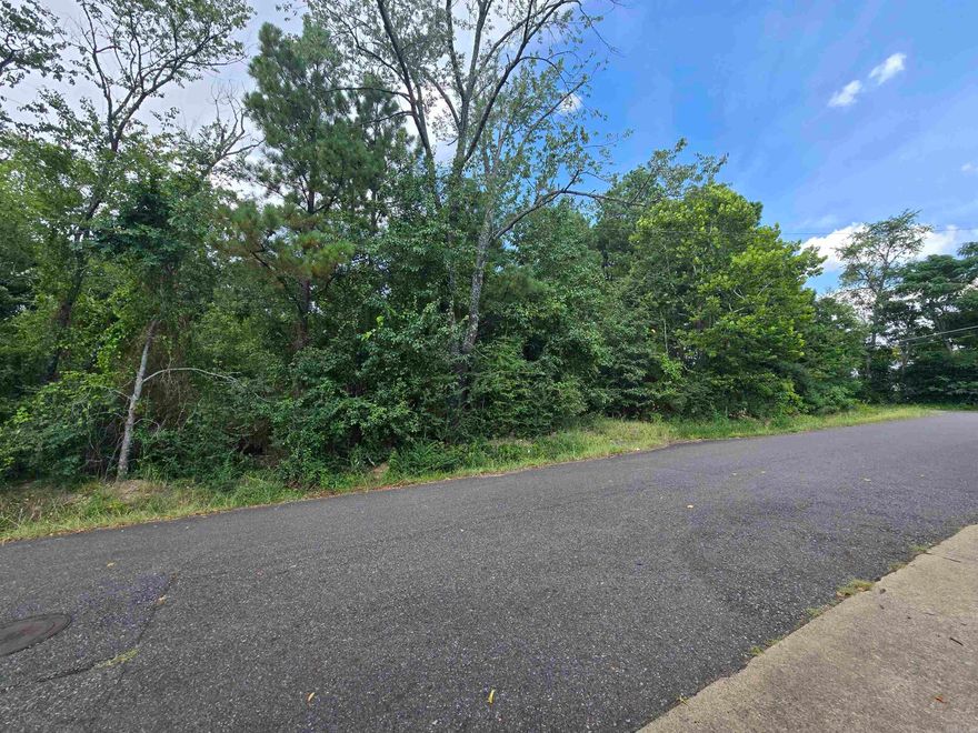 Undeveloped corner lot off of Airport Rd. in Hot Springs. Very conveniently located, easy access to utilities and all city amenities. Over 1/3 of an acre. Within city limits. Hot Springs School District.