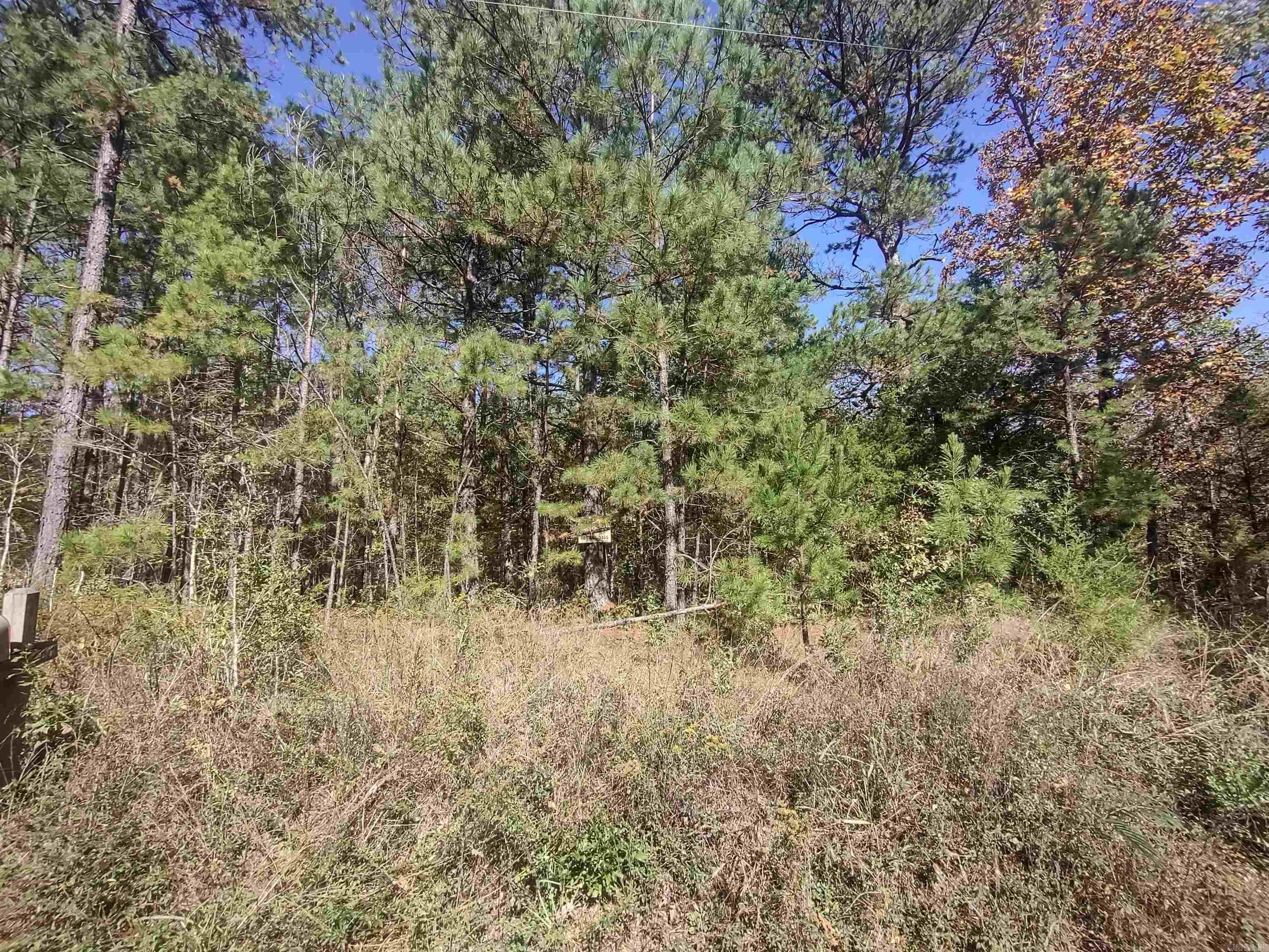 Perfect camp site get away. Close to Lake Degray. Peaceful setting with a gentle slope and mature trees. Would make a beautiful homeplace or weekend getaway. Electricity is at the street and Kimsey Regional water services neighboring properties.