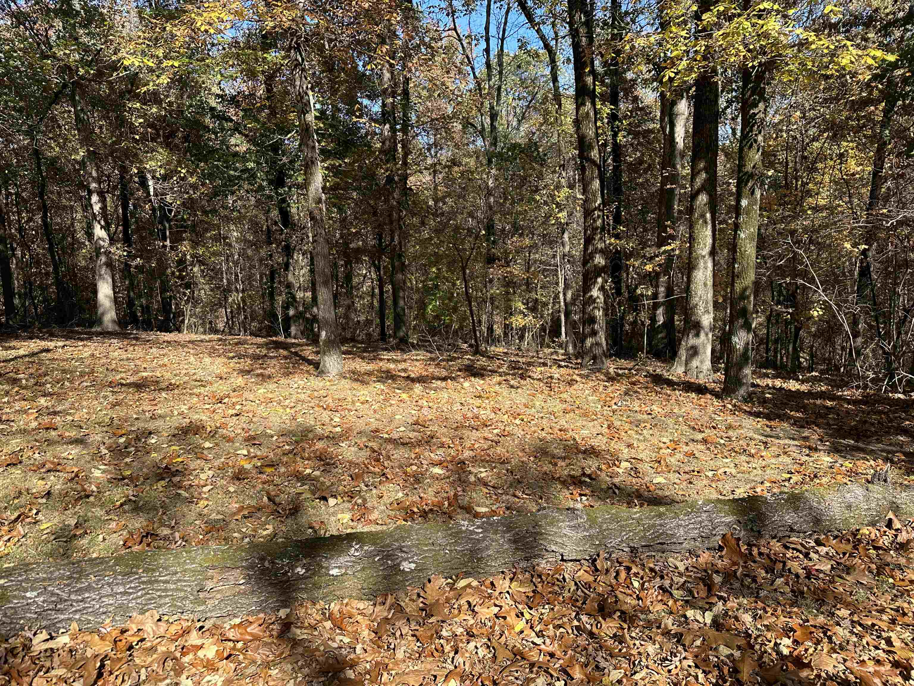 If you are looking for a place secluded, but in city limits to build your dream home or a cabin look no more!! These 11 acres are right off of highway 412. New survey to be provided by the sellers.