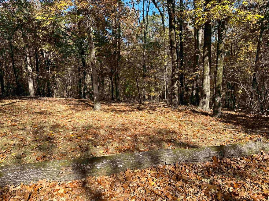 If you are looking for a place secluded, but in city limits to build your dream home or a cabin look no more!! These 11 acres are right off of highway 412.   New survey to be provided by the sellers.