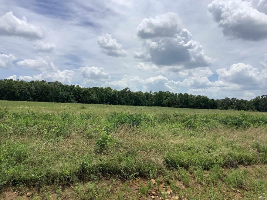 This beautiful property is ready for a home, hunting, livestock, or whatever your needs are. There are 13.35 acres adjoining this property that are also for sale for an additional price. You can also purchase (for an additional price) 11.96 connecting acres on Byrd Road.   MINERAL RIGHTS DO NOT CONVEY