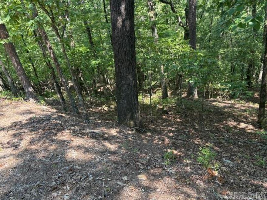 Beautiful area on backside of mountain. Very quiet neighborhood.