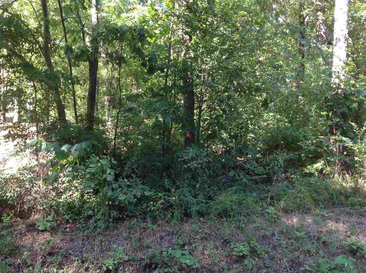 Arkridge Lake Estates - Land