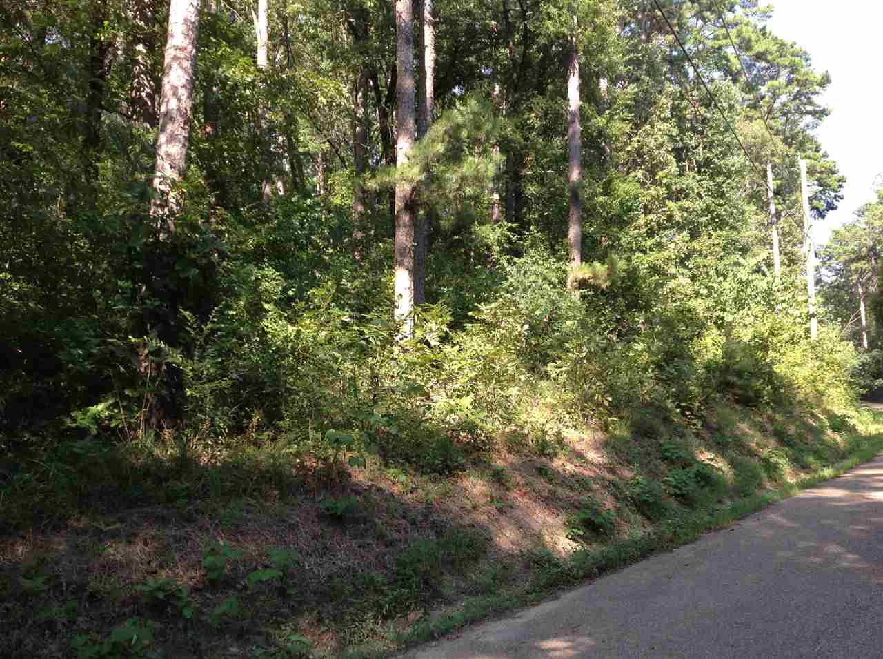 Arkridge Lake Estates - Land