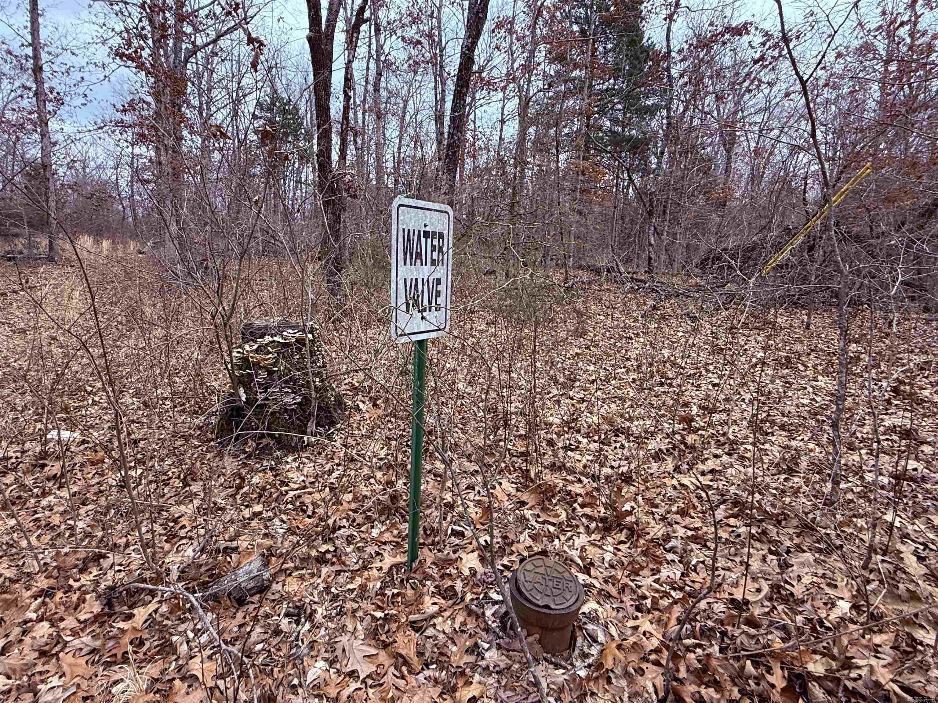 Metes & Bounds - Land