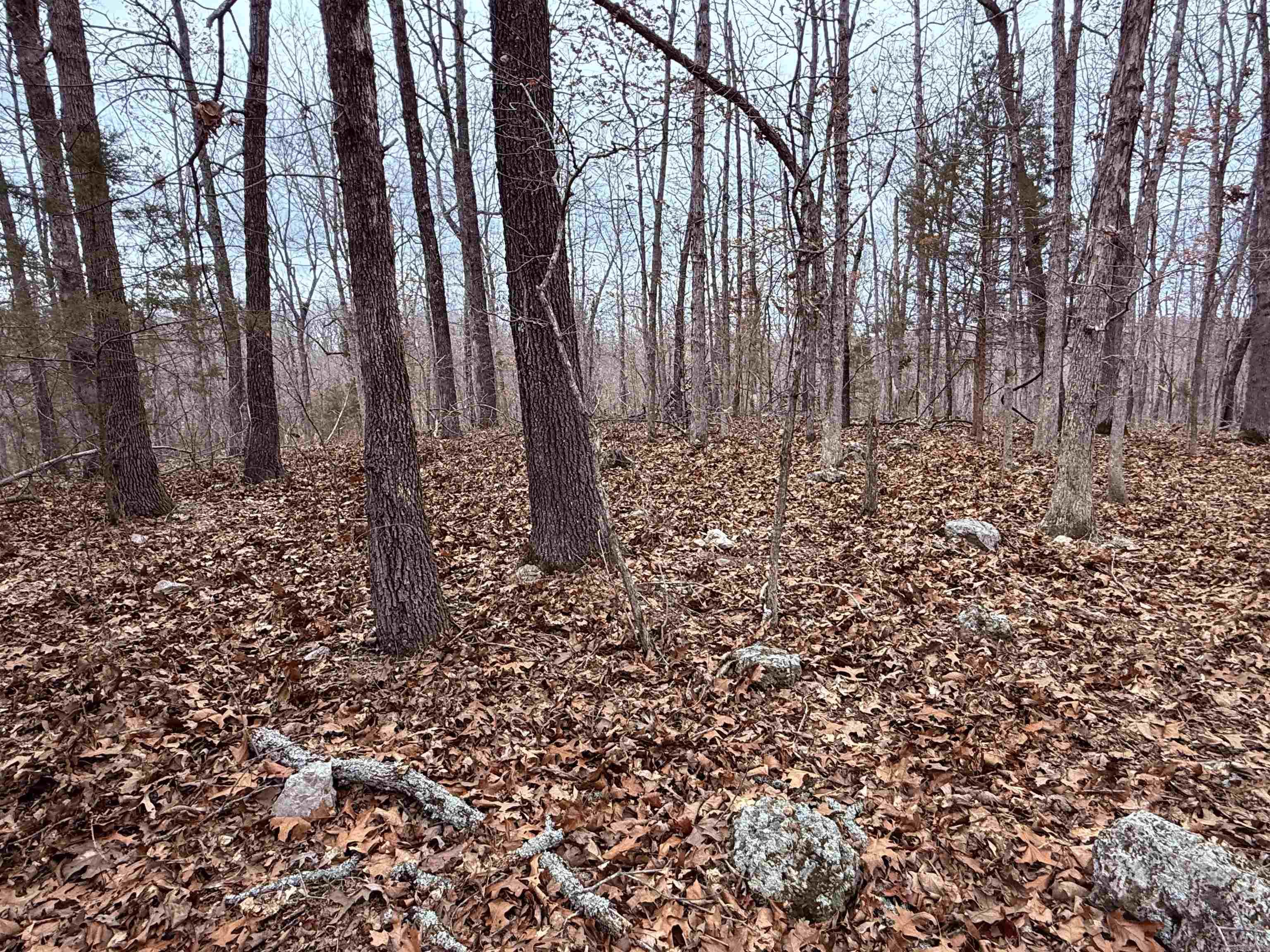 Metes & Bounds - Land