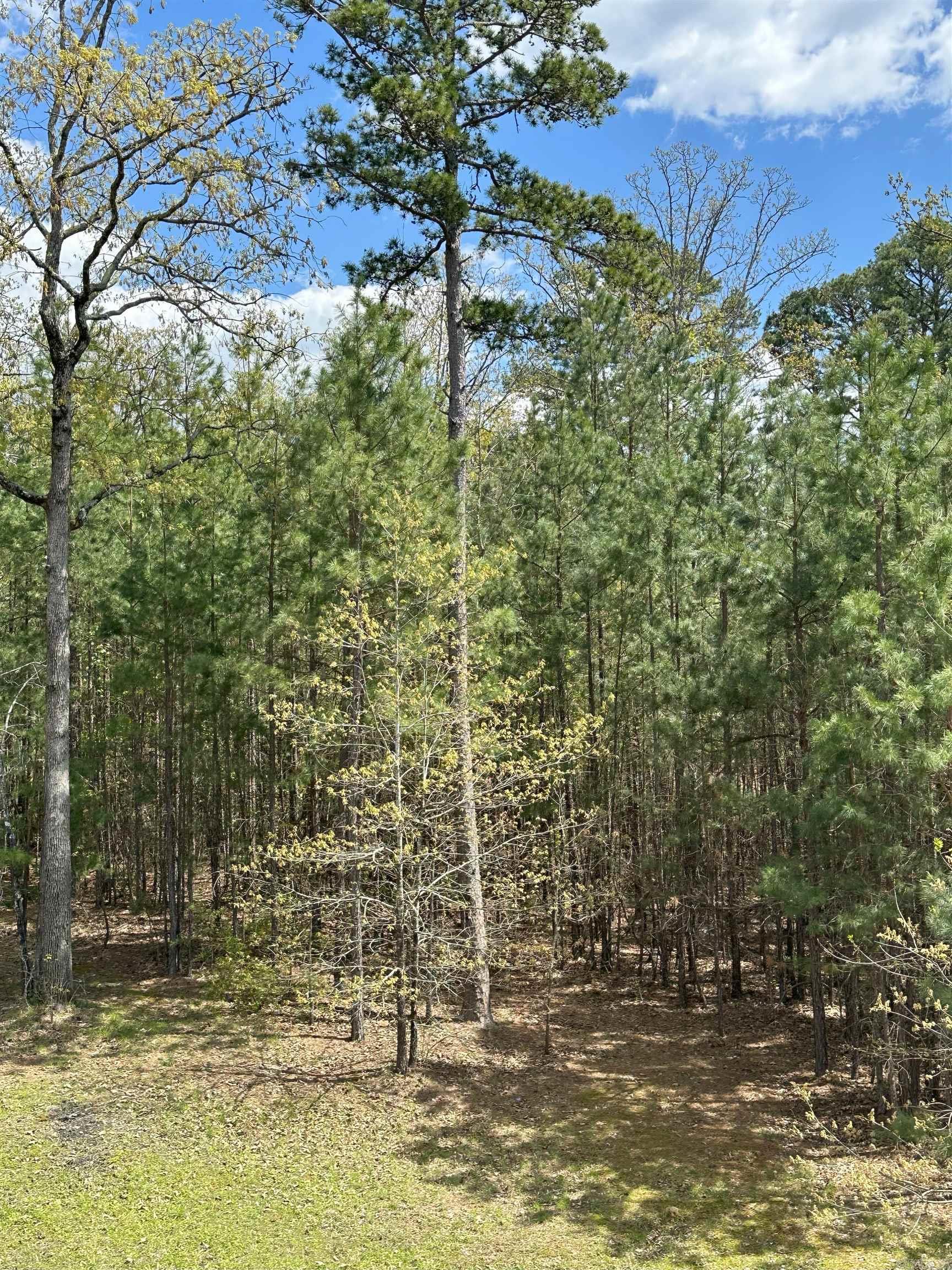 Island Shores Phase 2 - Residential