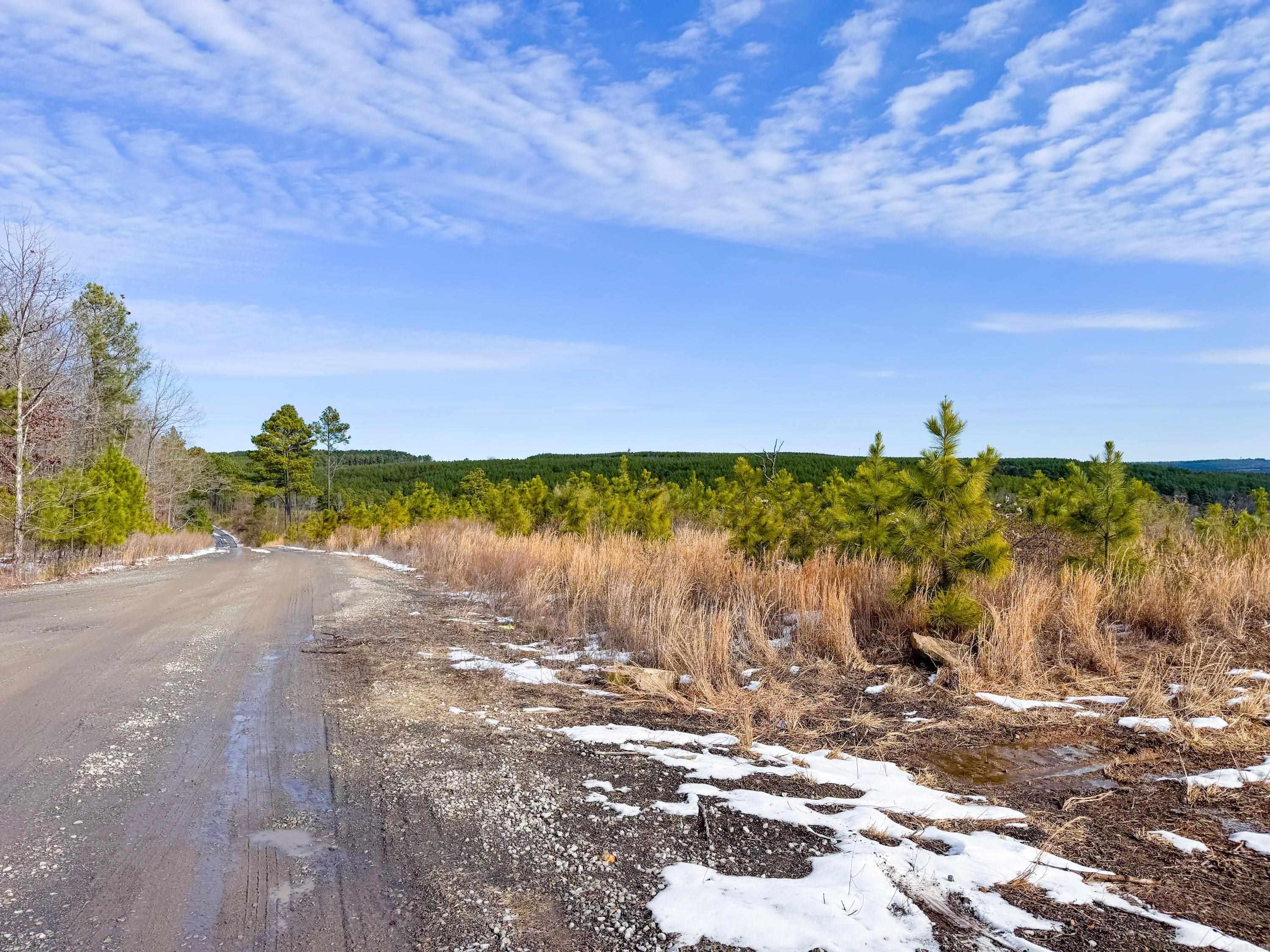 Enjoy a sweeping vista view from this acreage in Quitman. This property is just six minutes from Quitman, and only 16 minutes to the Narrows marina on Greers Ferry Lake. Clear the baby pines off or let them grow for a future investment. A couple of great spots atop the high knolls to build a home and take advantage of the view. The gas pad easement road runs along the west side of the property and would make a great driveway. There are trails cut through the property, and a small wet-weather creek runs down near Tarter Hill Road. Lots of white-tailed deer in the area. Seller will also consider selling whole property - 32.5 acres. See the listing for 950 Tarter Hill Road for details.