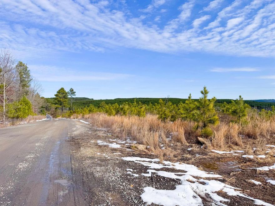 Enjoy a sweeping vista view from this acreage in Quitman. This property is just six minutes from Quitman, and only 16 minutes to the Narrows marina on Greers Ferry Lake. Clear the baby pines off or let them grow for a future investment. A couple of great spots atop the high knolls to build a home and take advantage of the view. The gas pad easement road runs along the west side of the property and would make a great driveway. There are trails cut through the property, and a small wet-weather creek runs down near Tarter Hill Road. Lots of white-tailed deer in the area. Seller will also consider selling whole property - 32.5 acres. See the listing for 950 Tarter Hill Road for details.